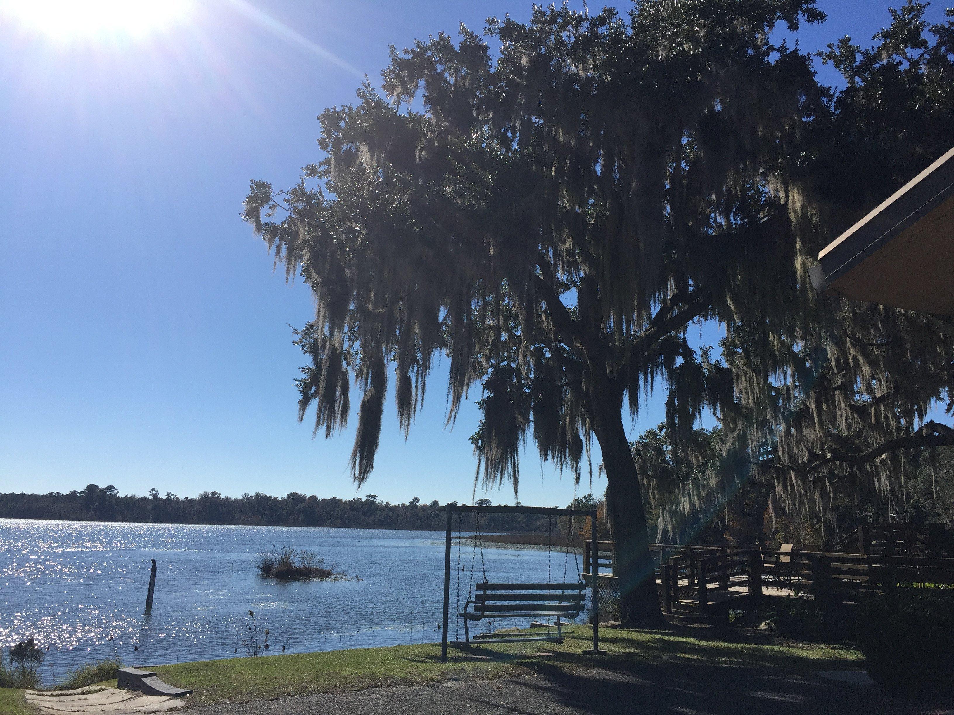 Grassy Pond