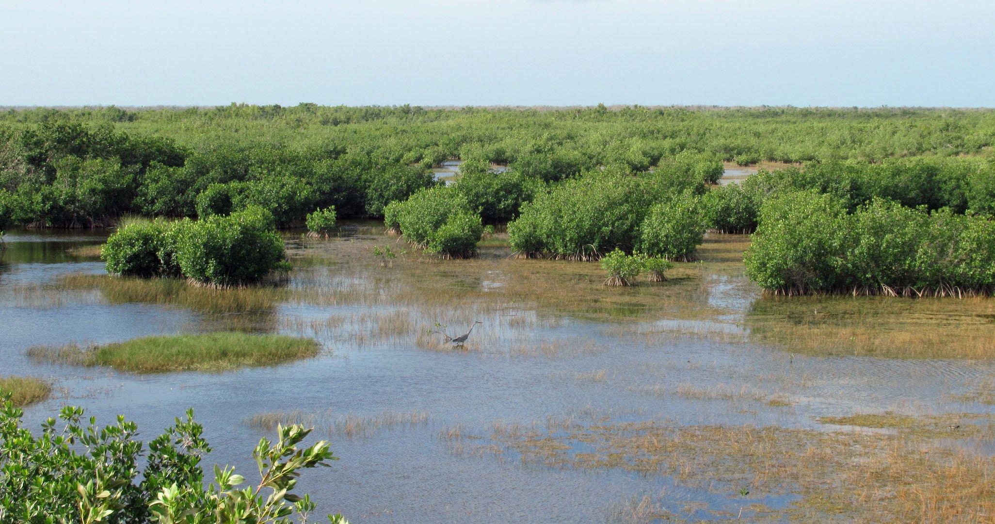 TEN THOUSAND ISLANDS NWR