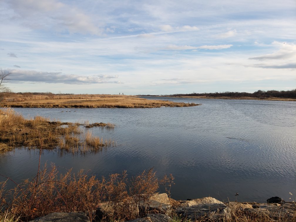 Salt Marsh Nature Center