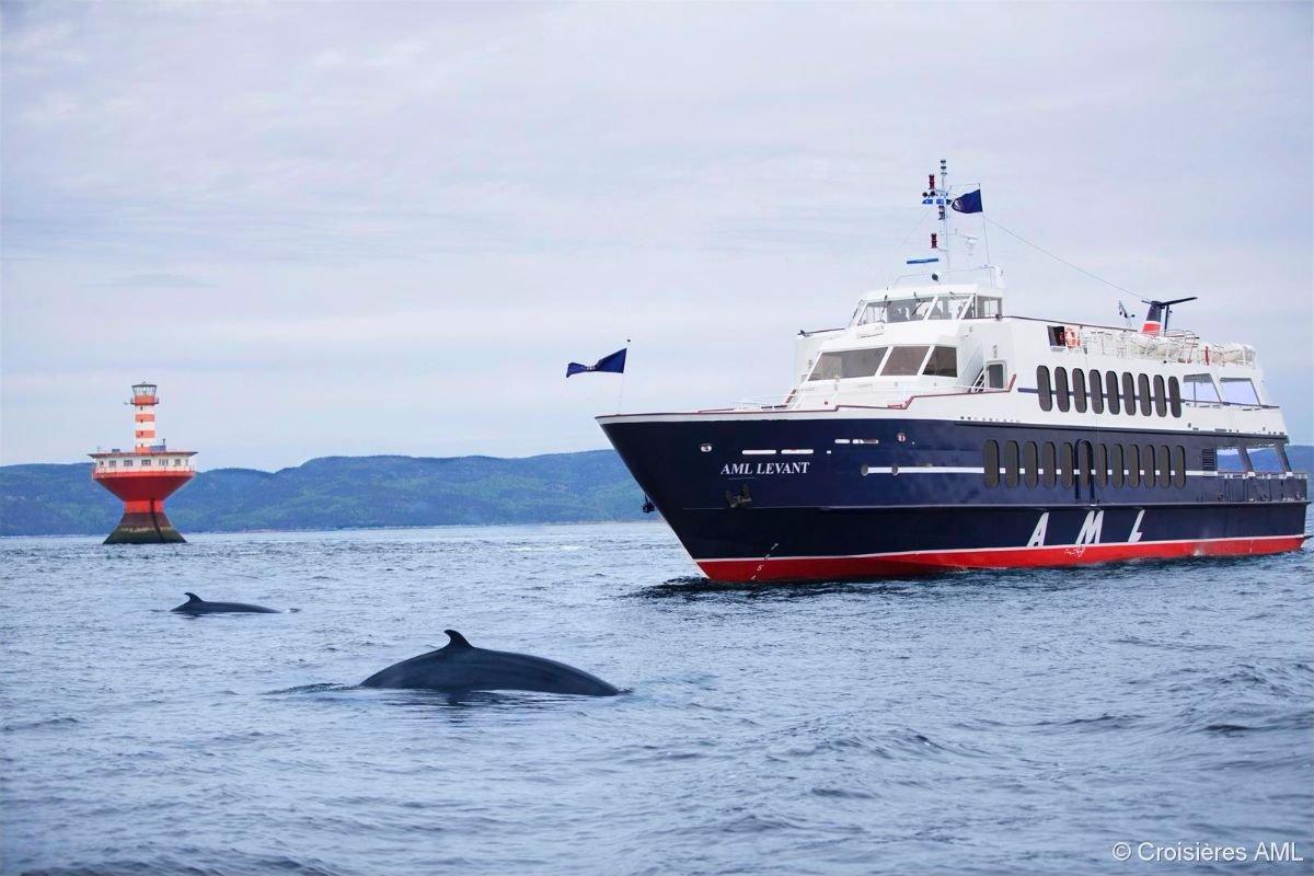 Croisieres AML - Day Tours