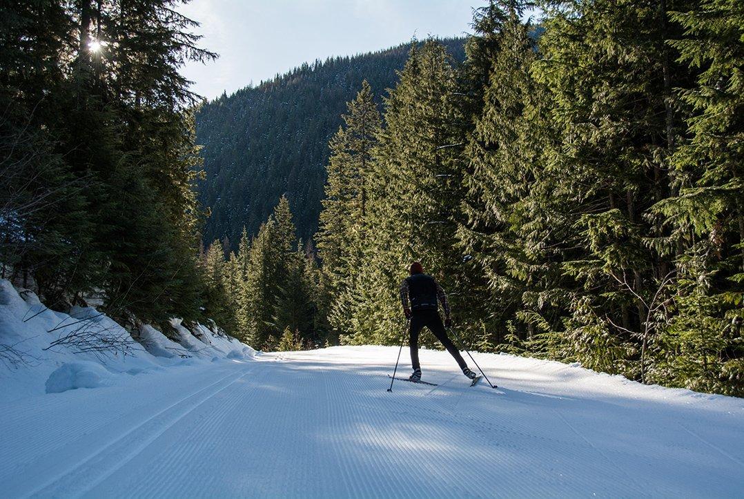 Nelson Nordic Ski Club