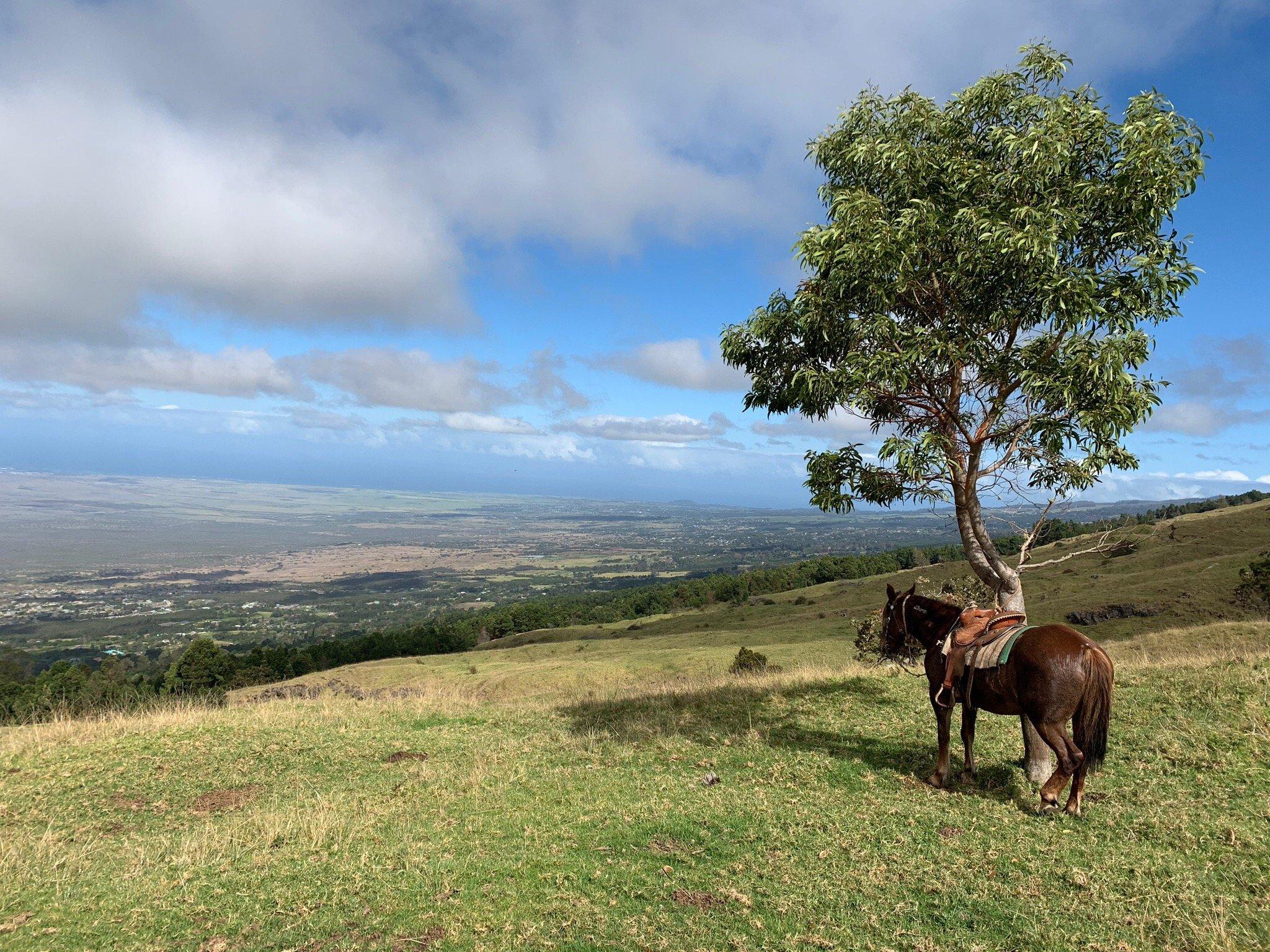 Thompson Ranch Riding Stables