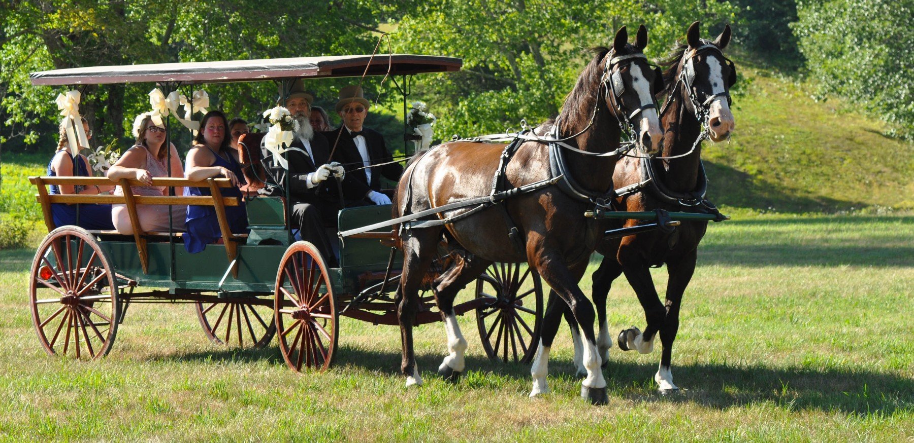 Silver Ranch Stables