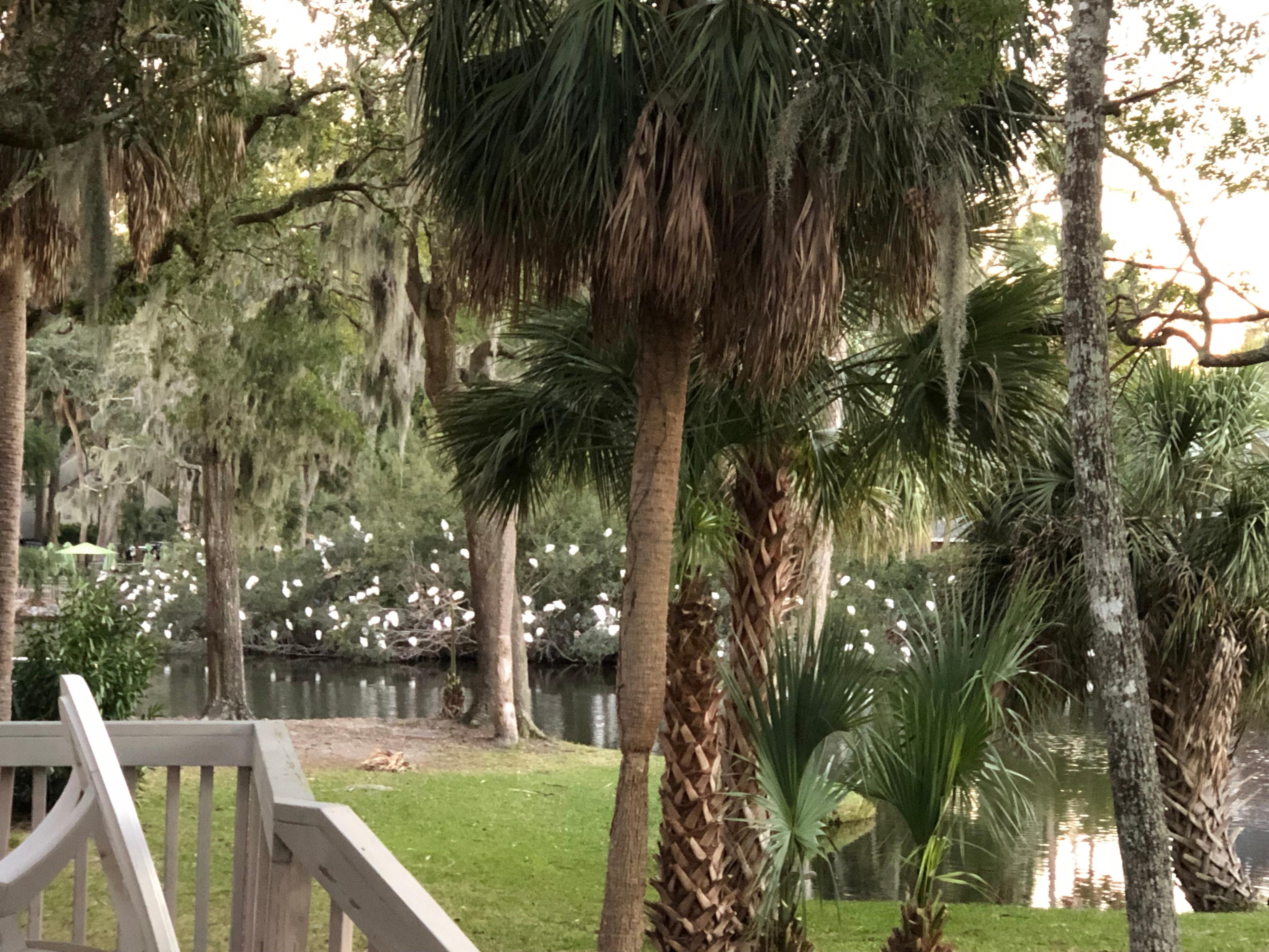 Egrets Pointe Townhouses