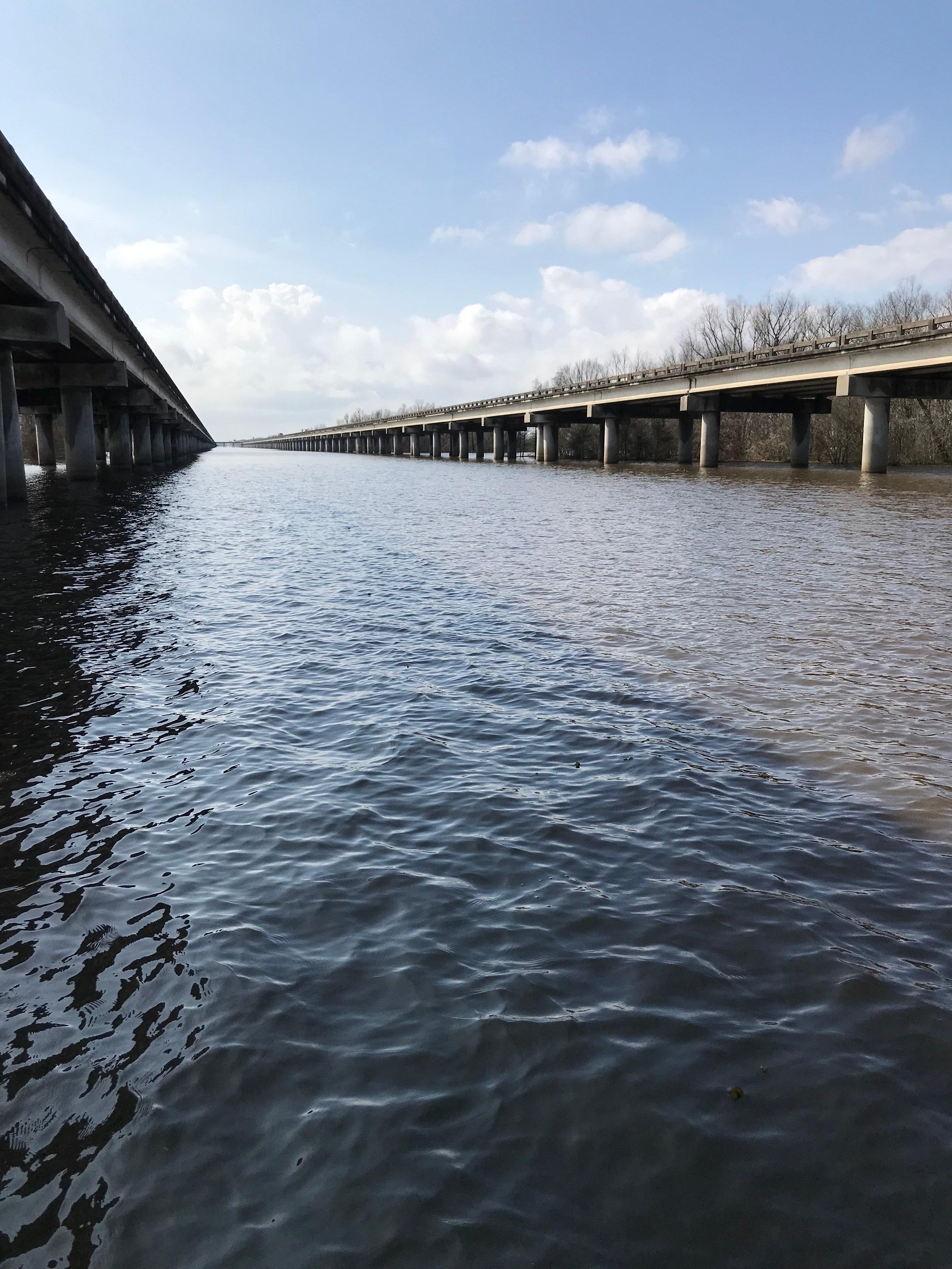 McGee's Landing Atchafalaya Swamp Tours