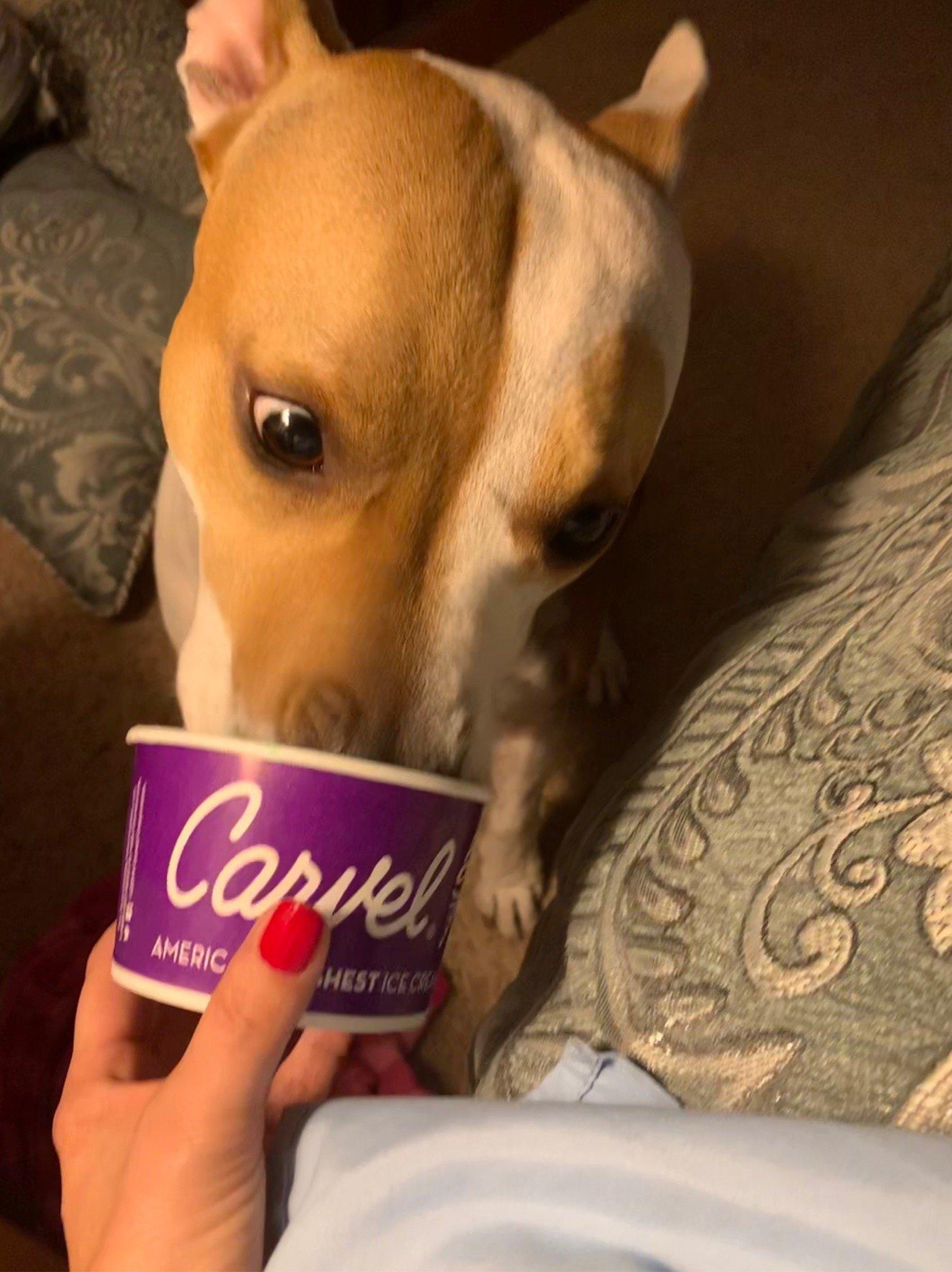 Carvel