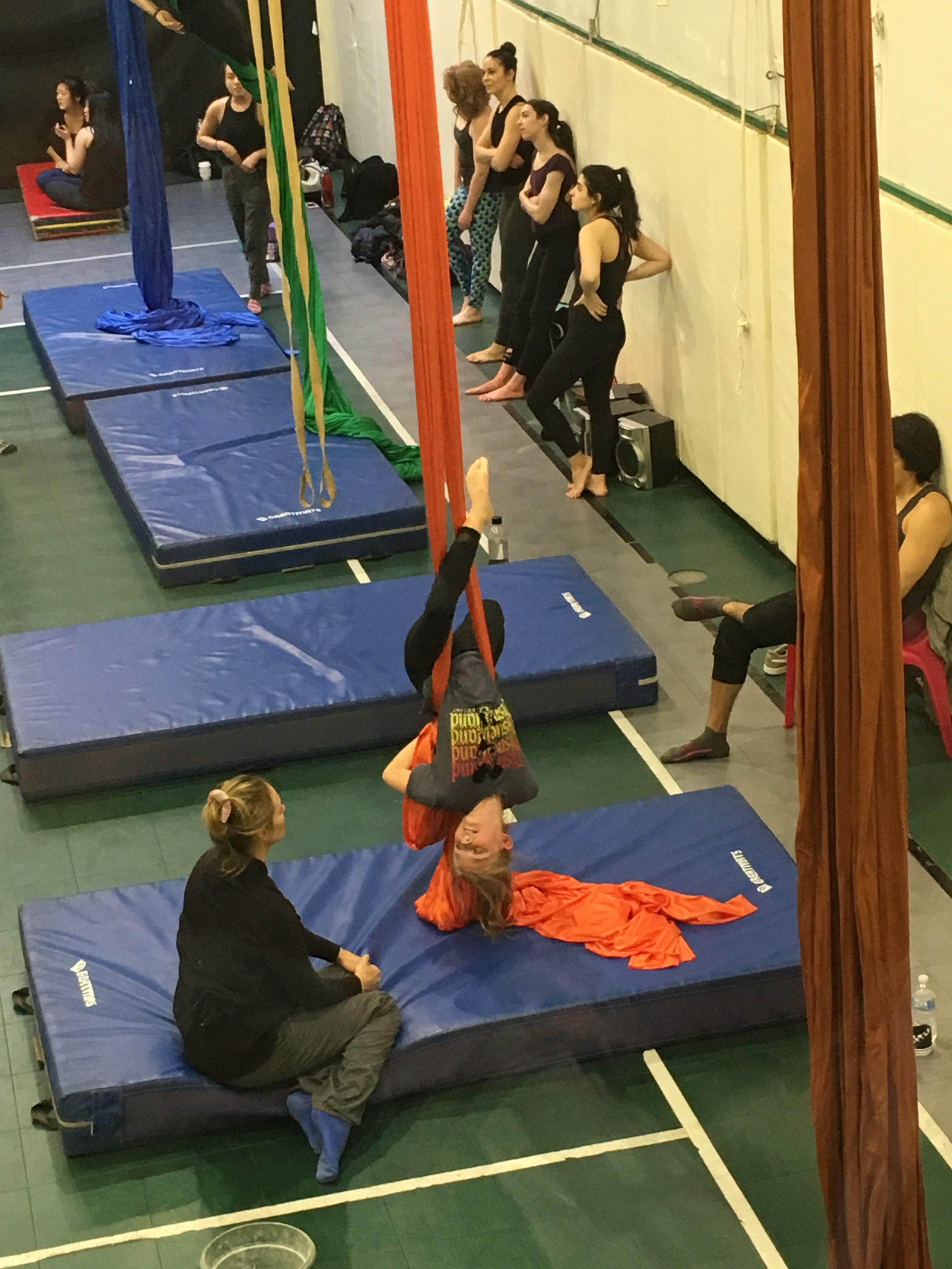 Aerial Arts NYC