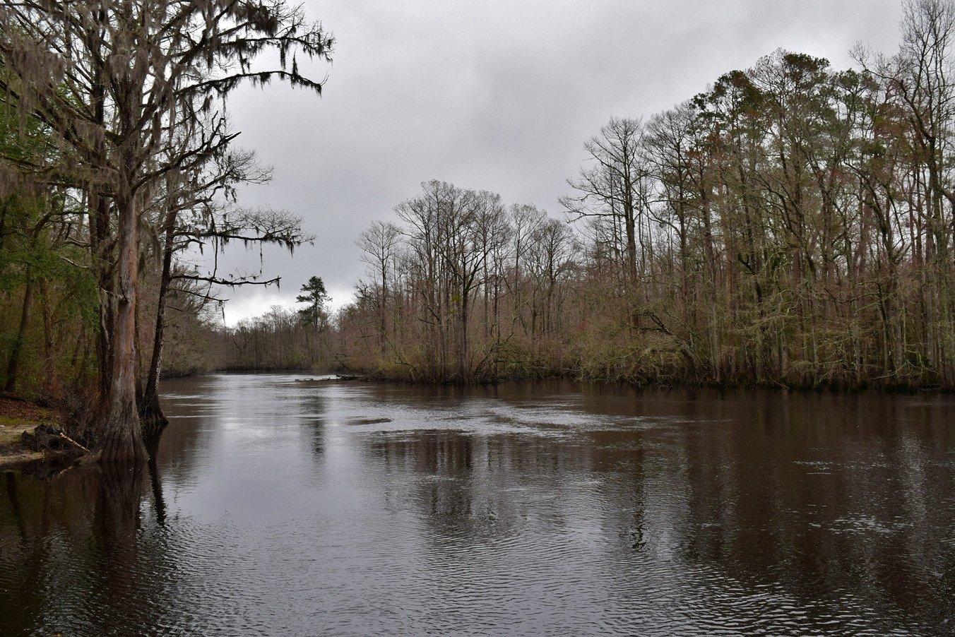 Lumber River State Park