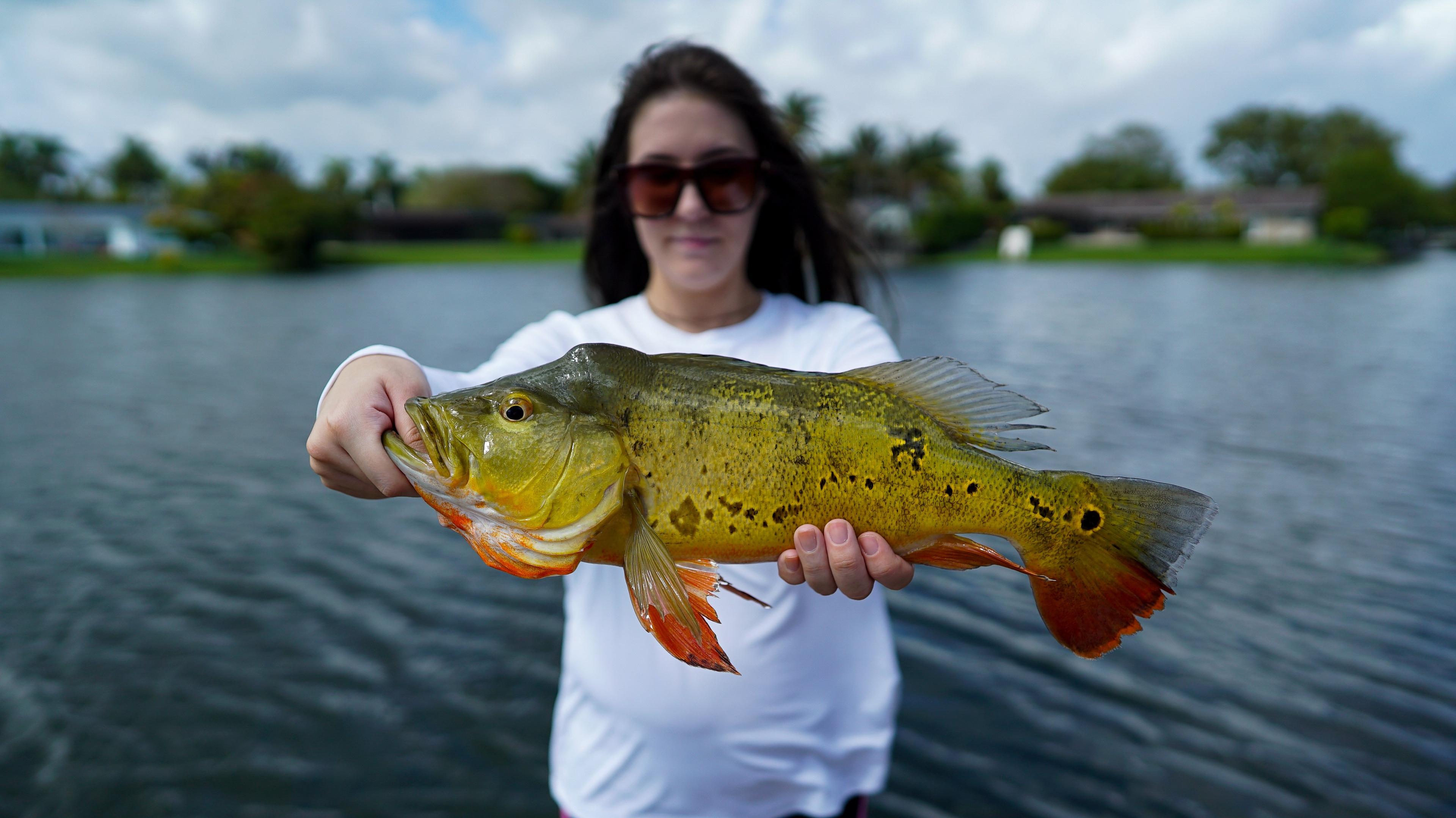 Miami Peacock Adventures - Day Tours