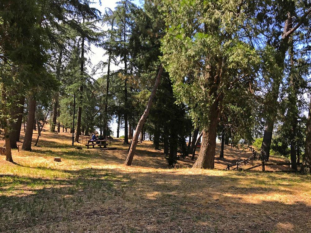 Henninger Flats Campground