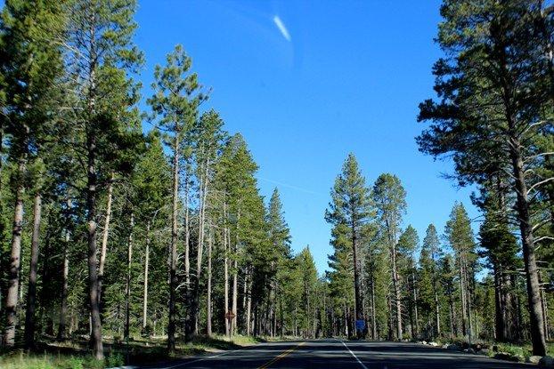 Lake Tahoe Loop