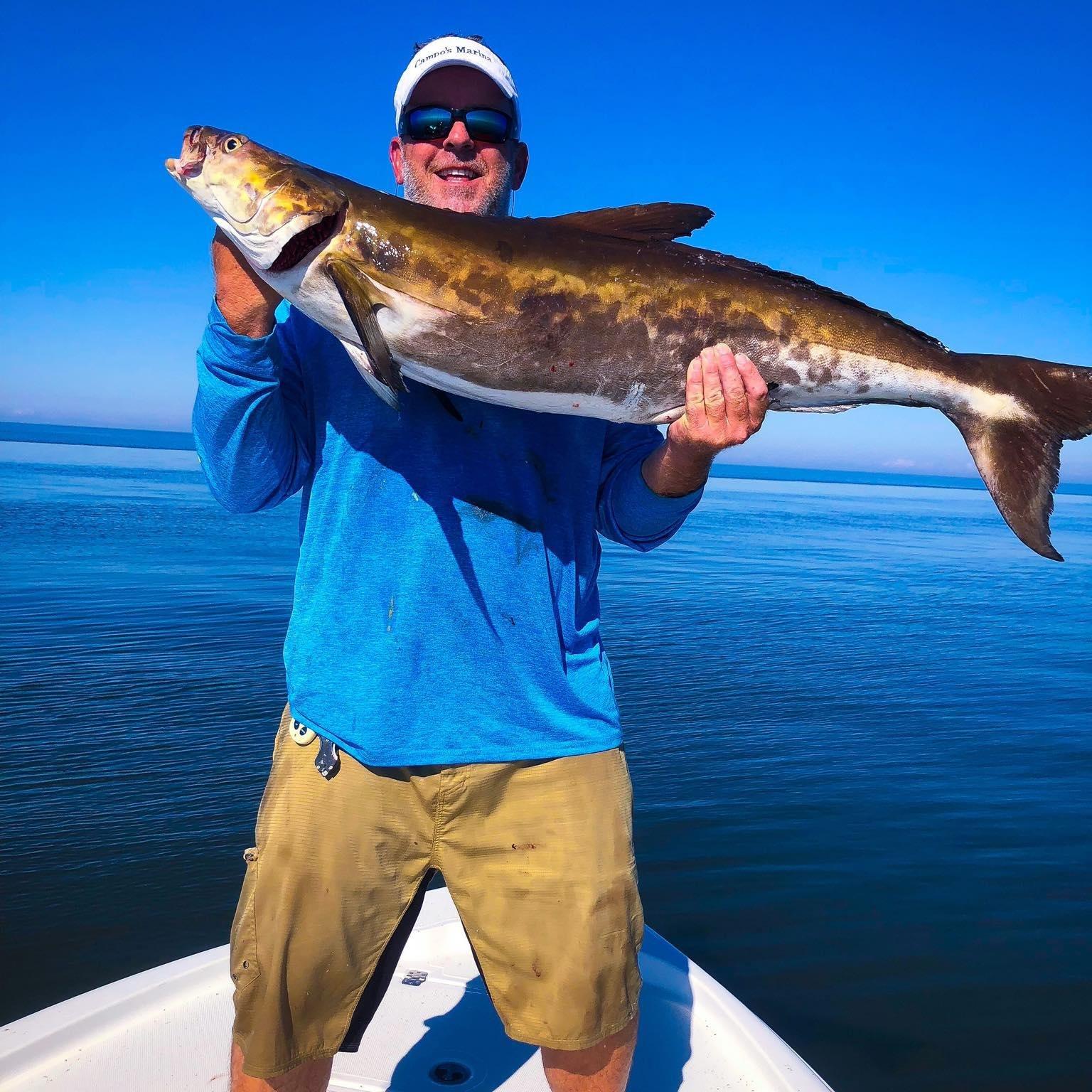 Saltwater Therapy Charters