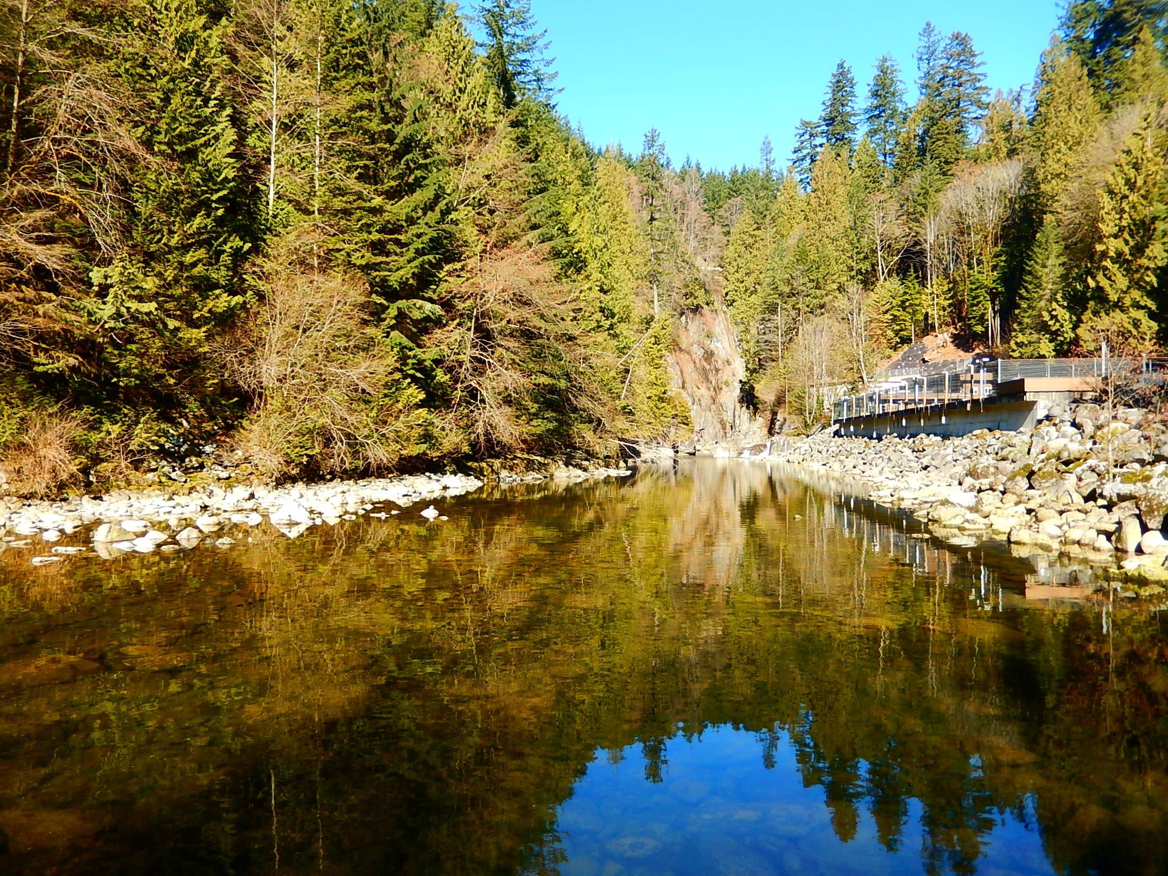 Capilano Salmon Hatchery