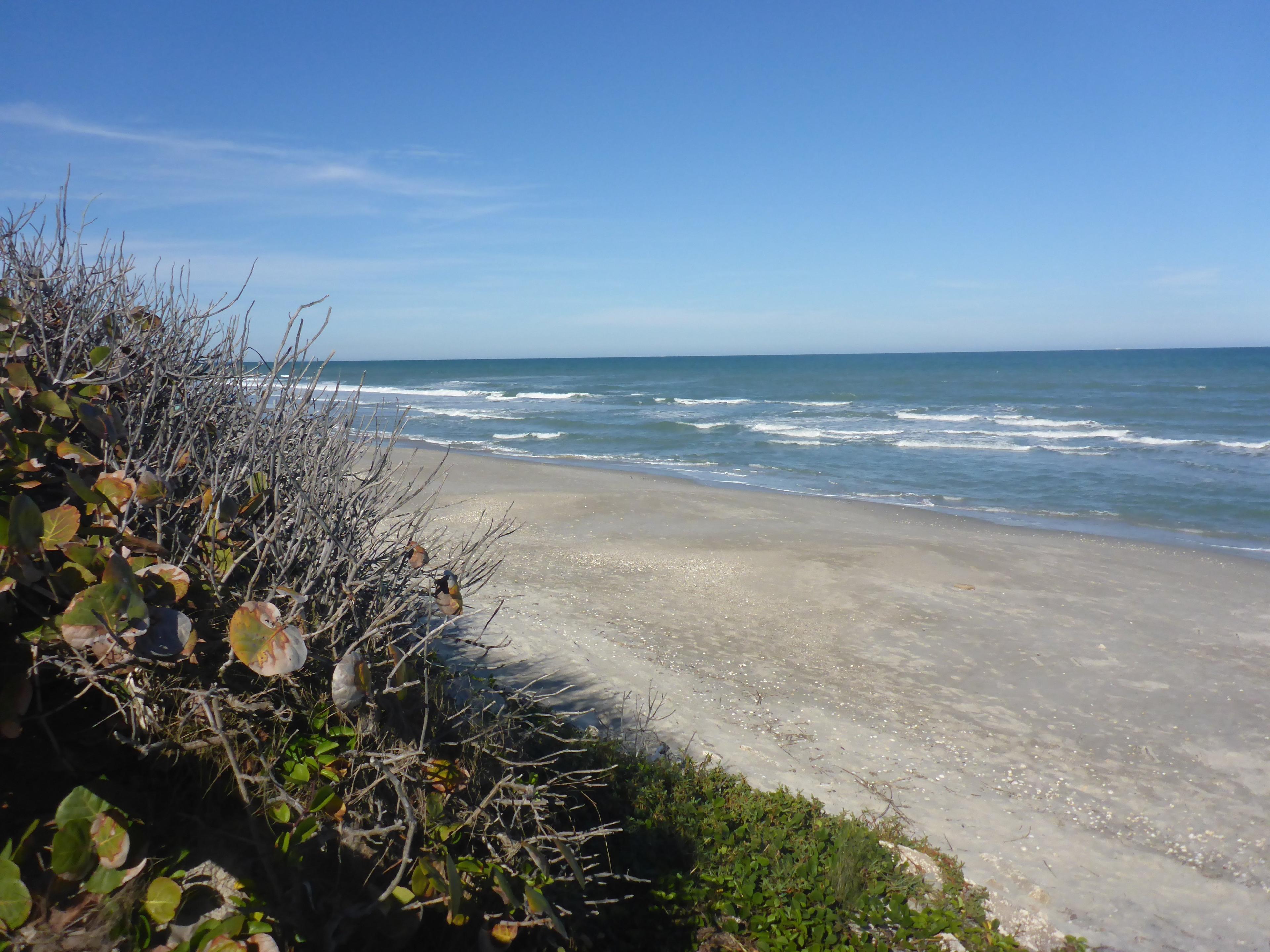 Hangar's Beach