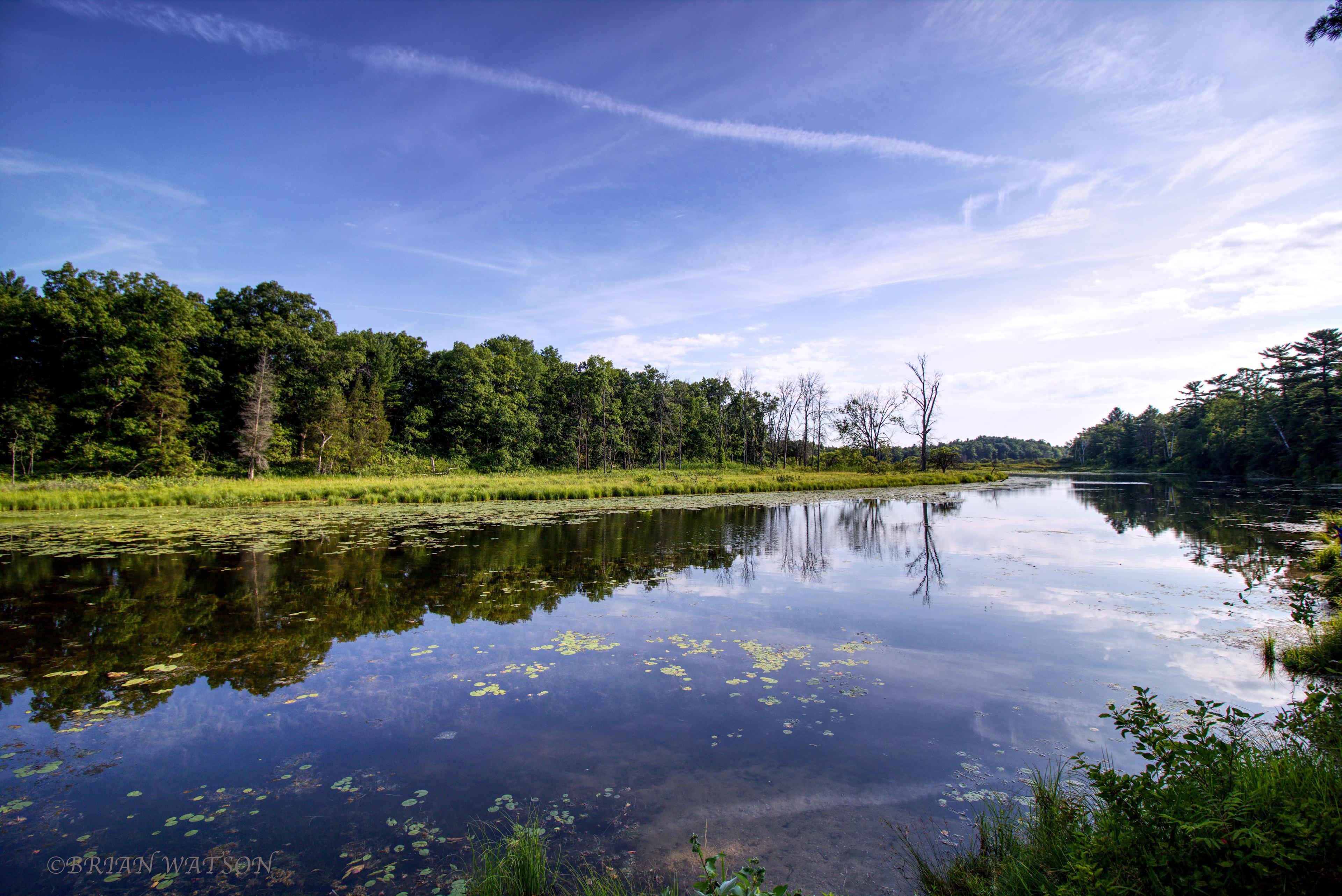 Pinery Provincial Park