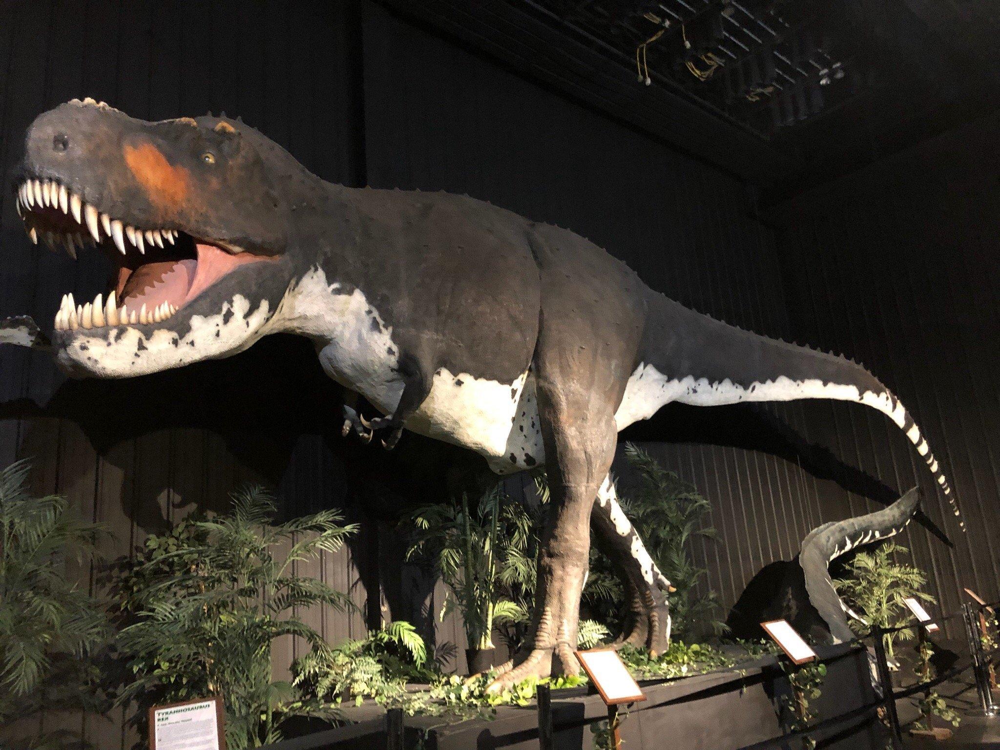 Branson Dinosaur Museum