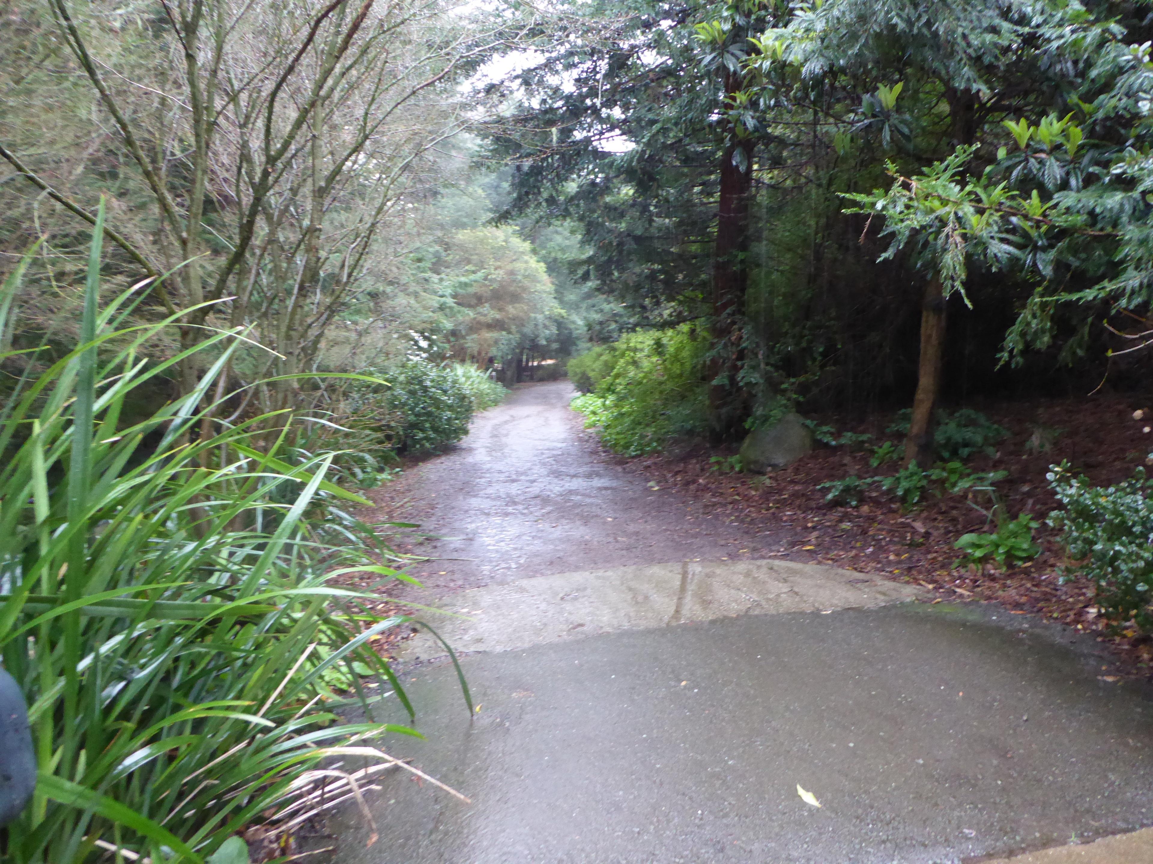 National AIDS Memorial Grove