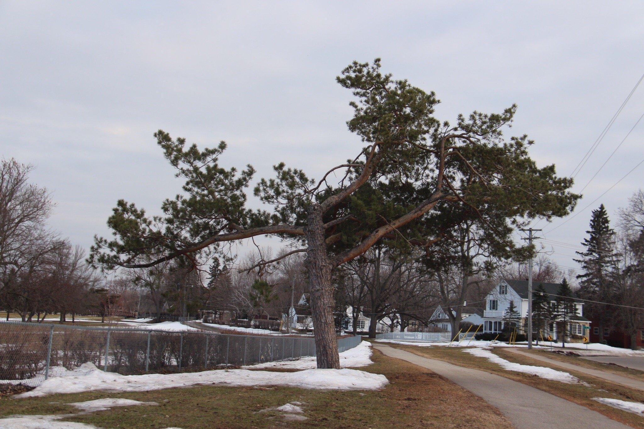 Soldiers Field Golf Course