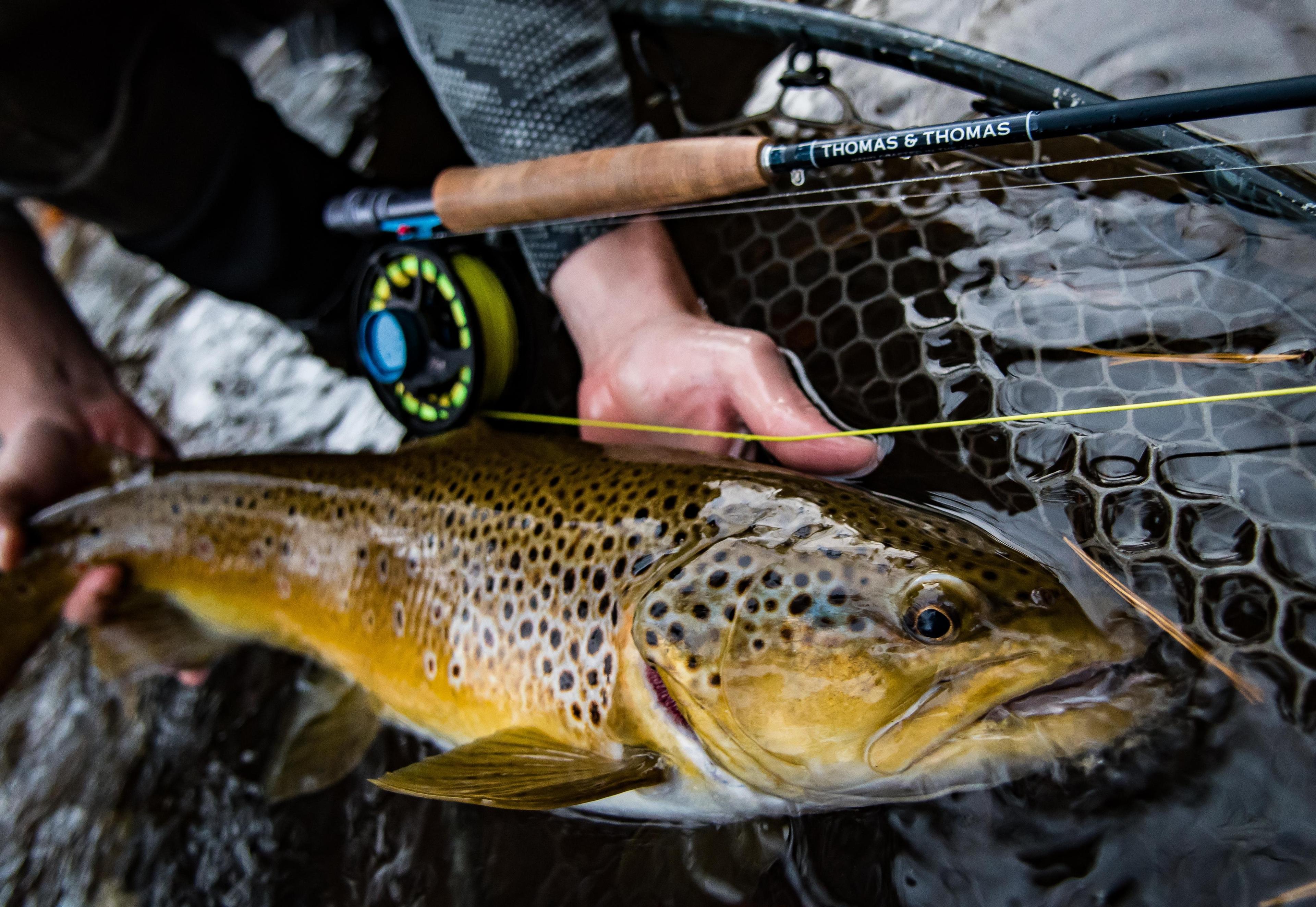 Appalachian Anglers