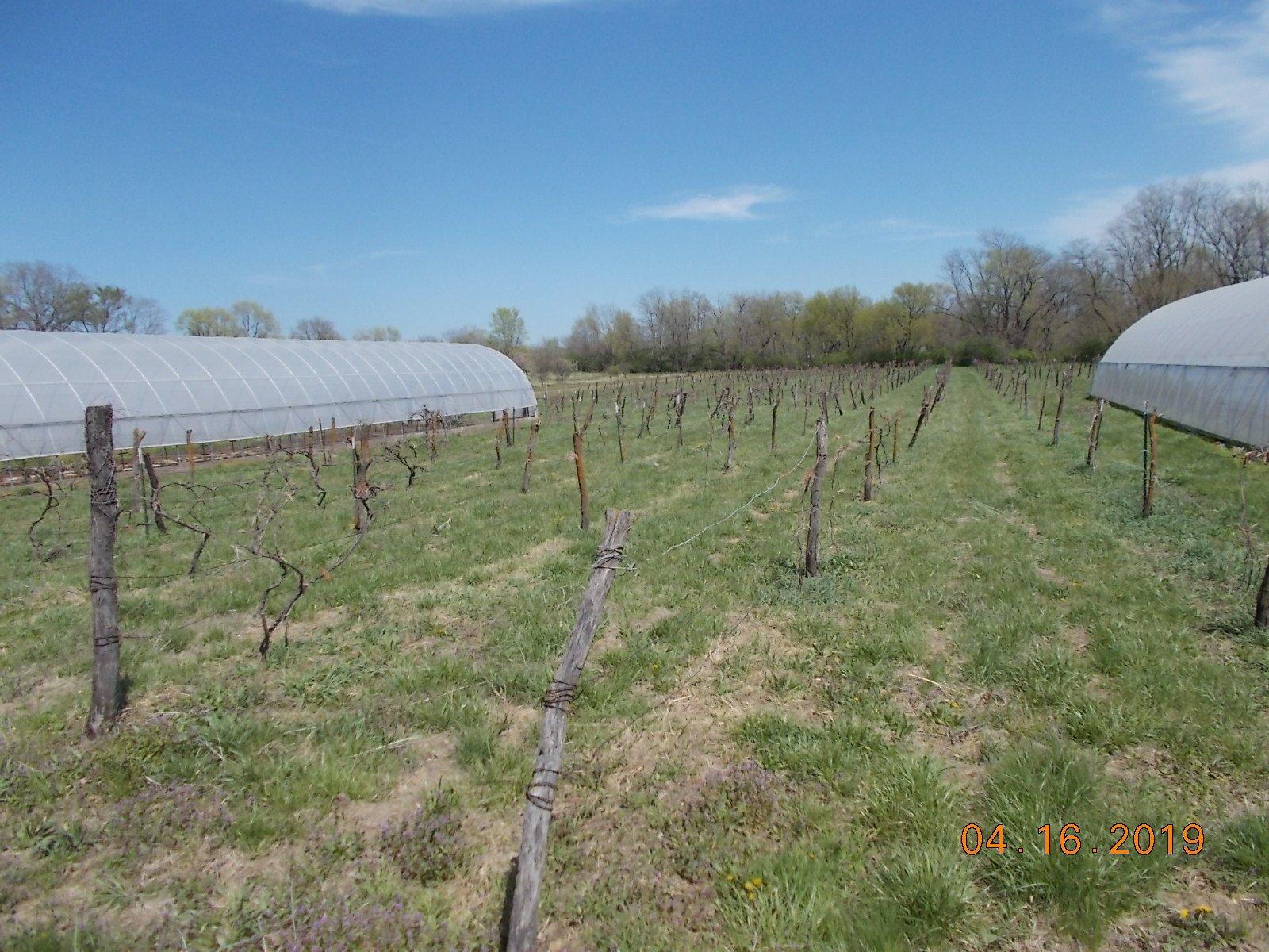 Rees Fruit Farm