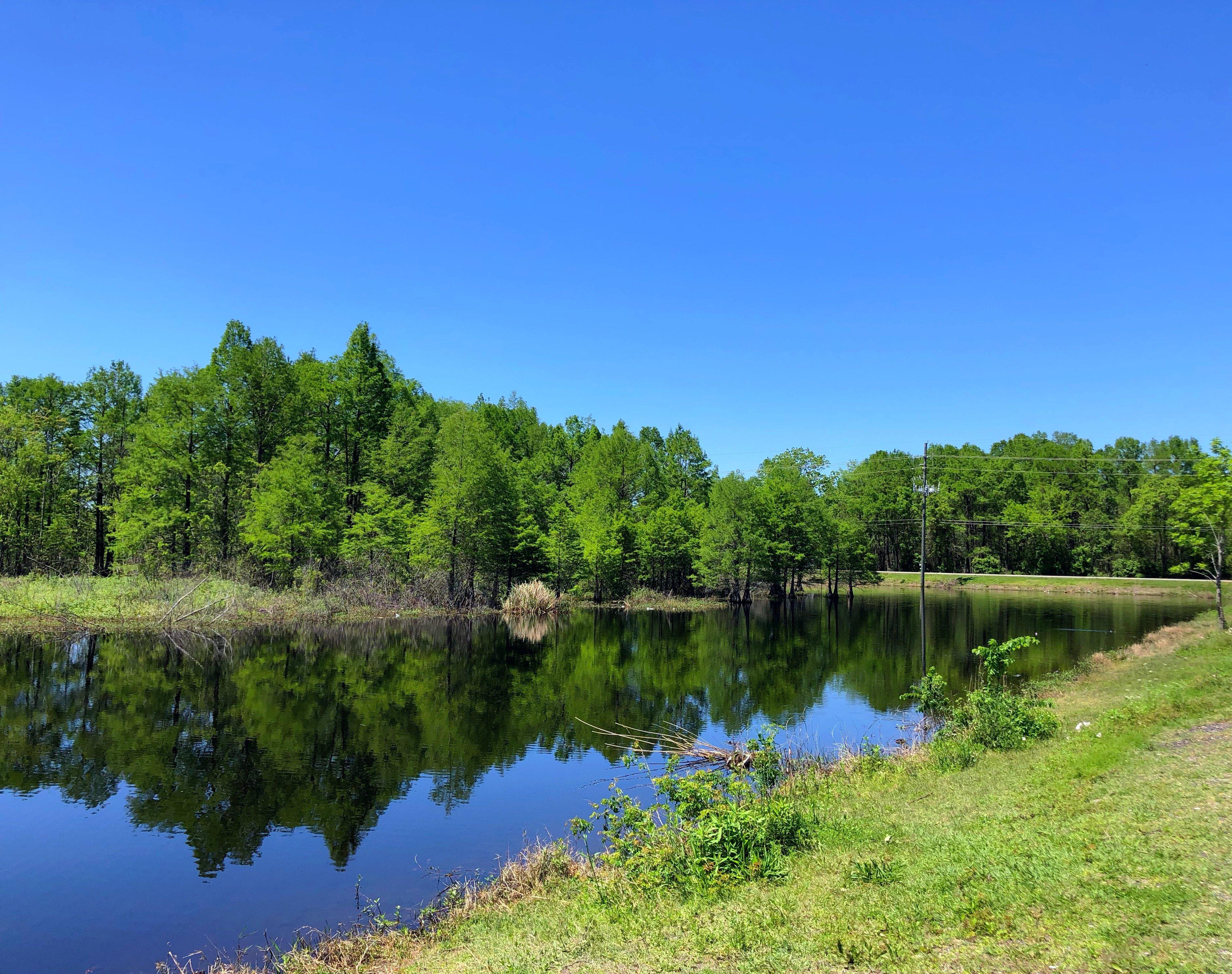 Sheldon Lake State Park & Environmental Learning Center