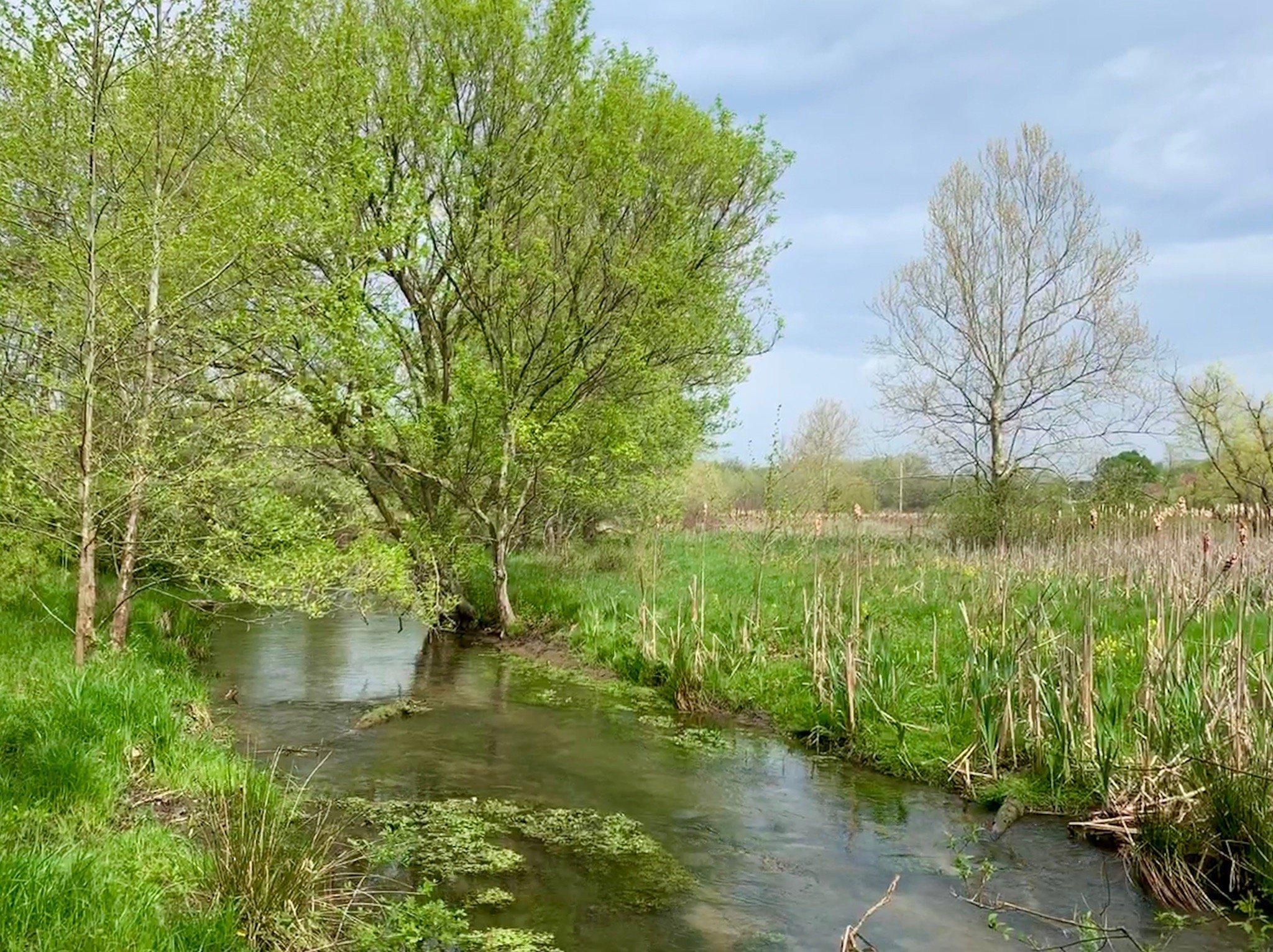 Cool Spring Preserve