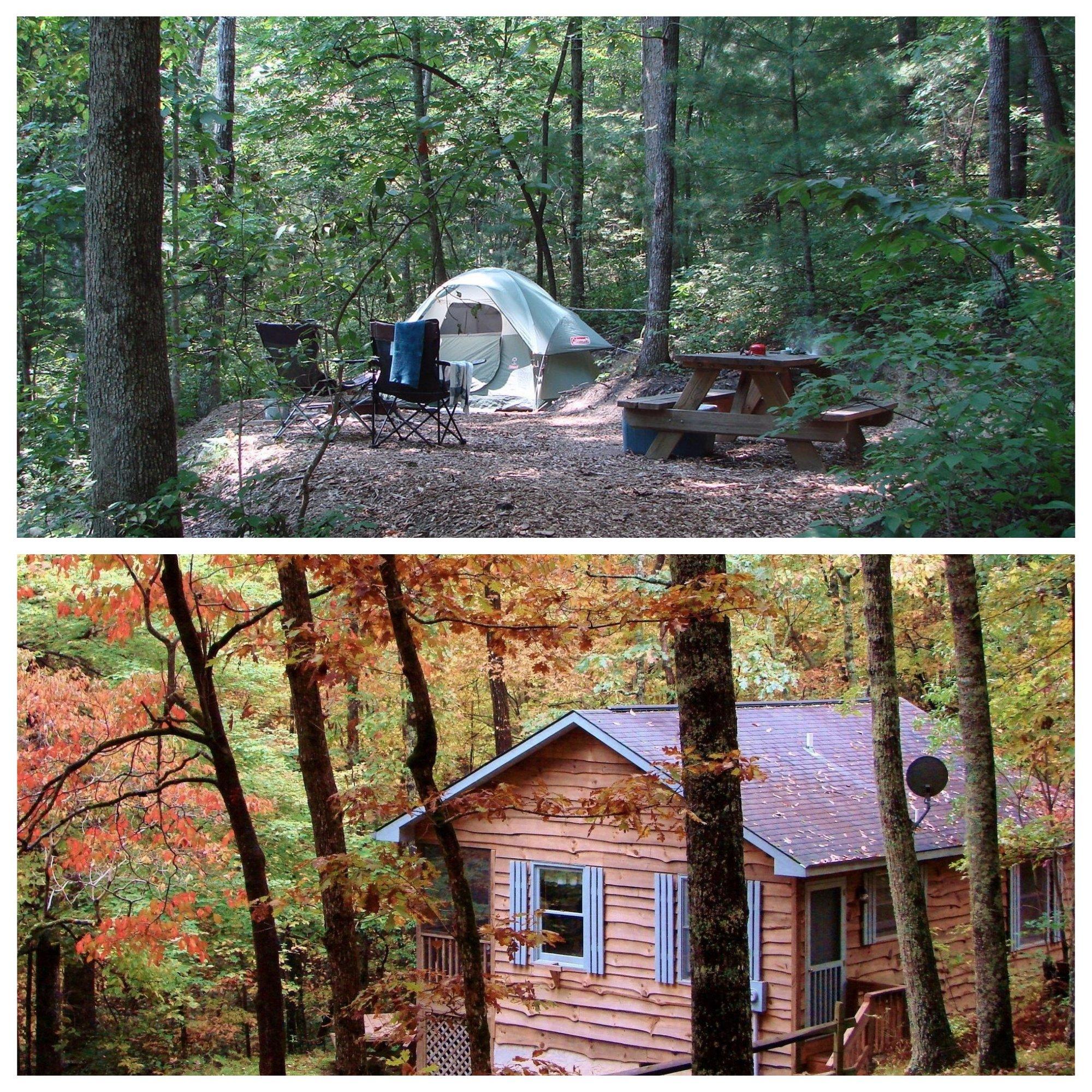 Ash Grove Mountain Cabins & Camping