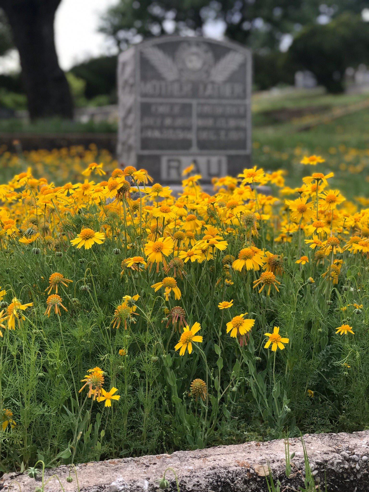 Pioneer Rest Cemetery