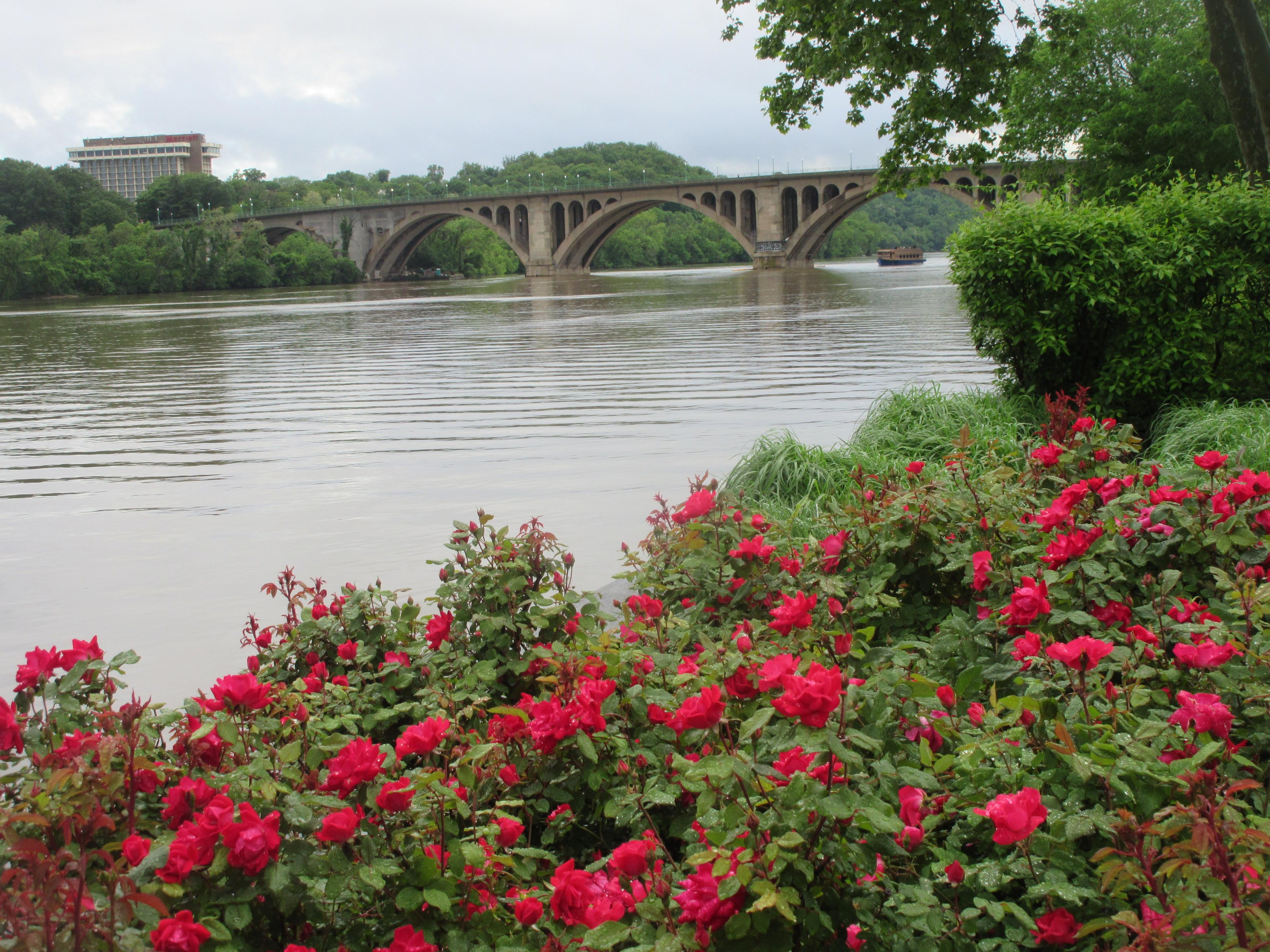 Georgetown Waterfront Park