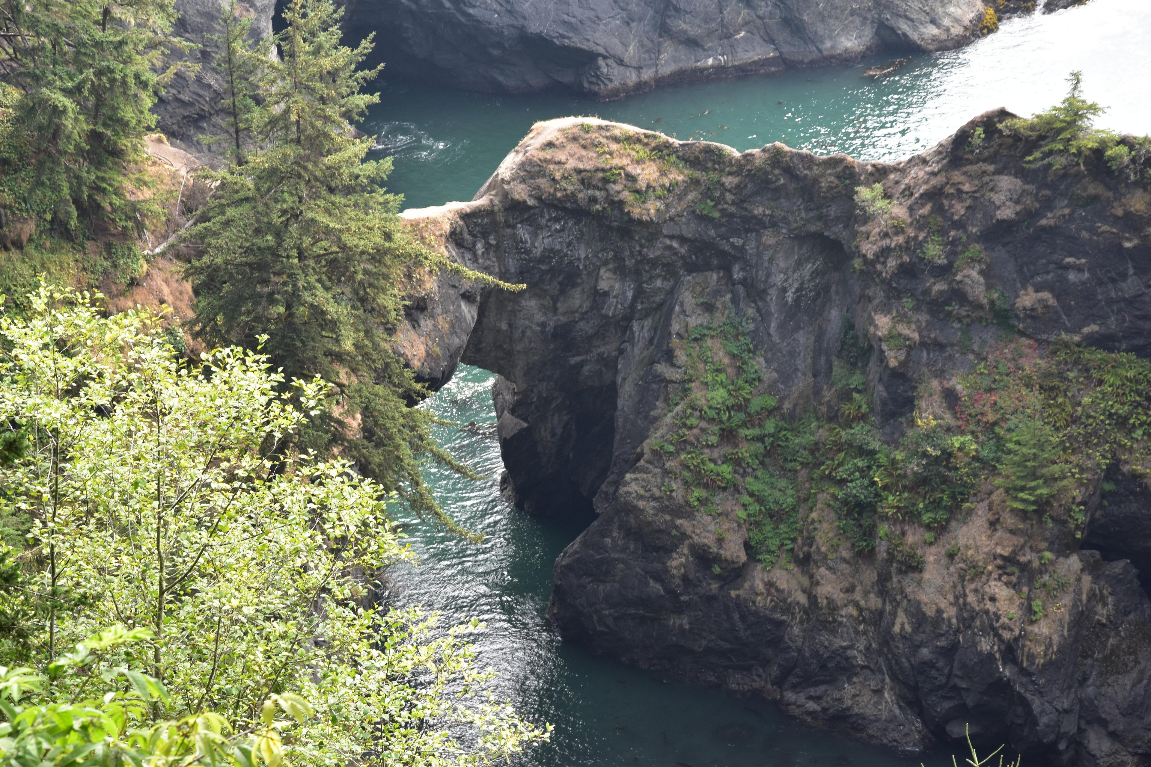 Natural Bridges Viewpoint