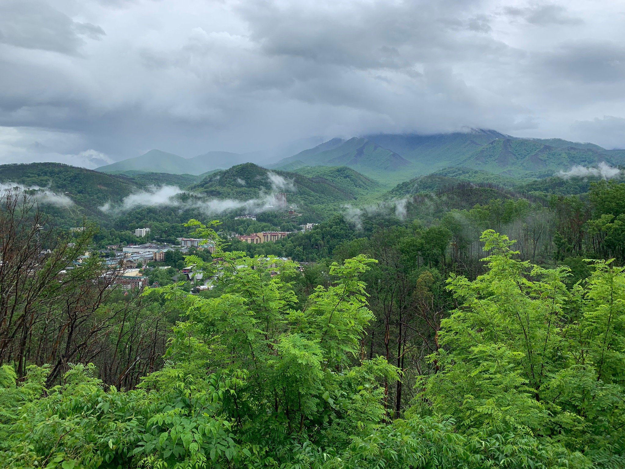 Great Smoky Mountains National Park