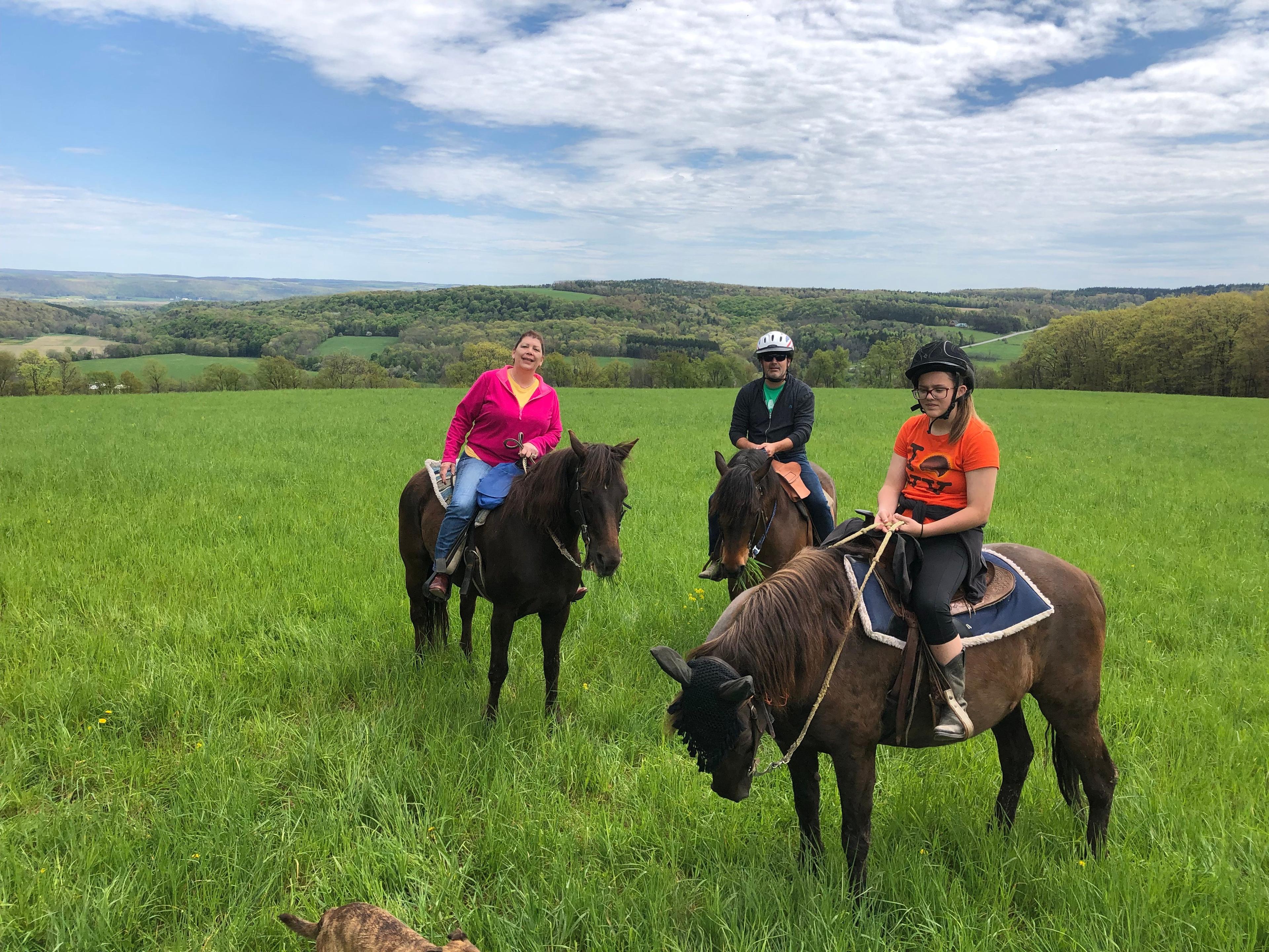 Overland Morgan Horse Farm