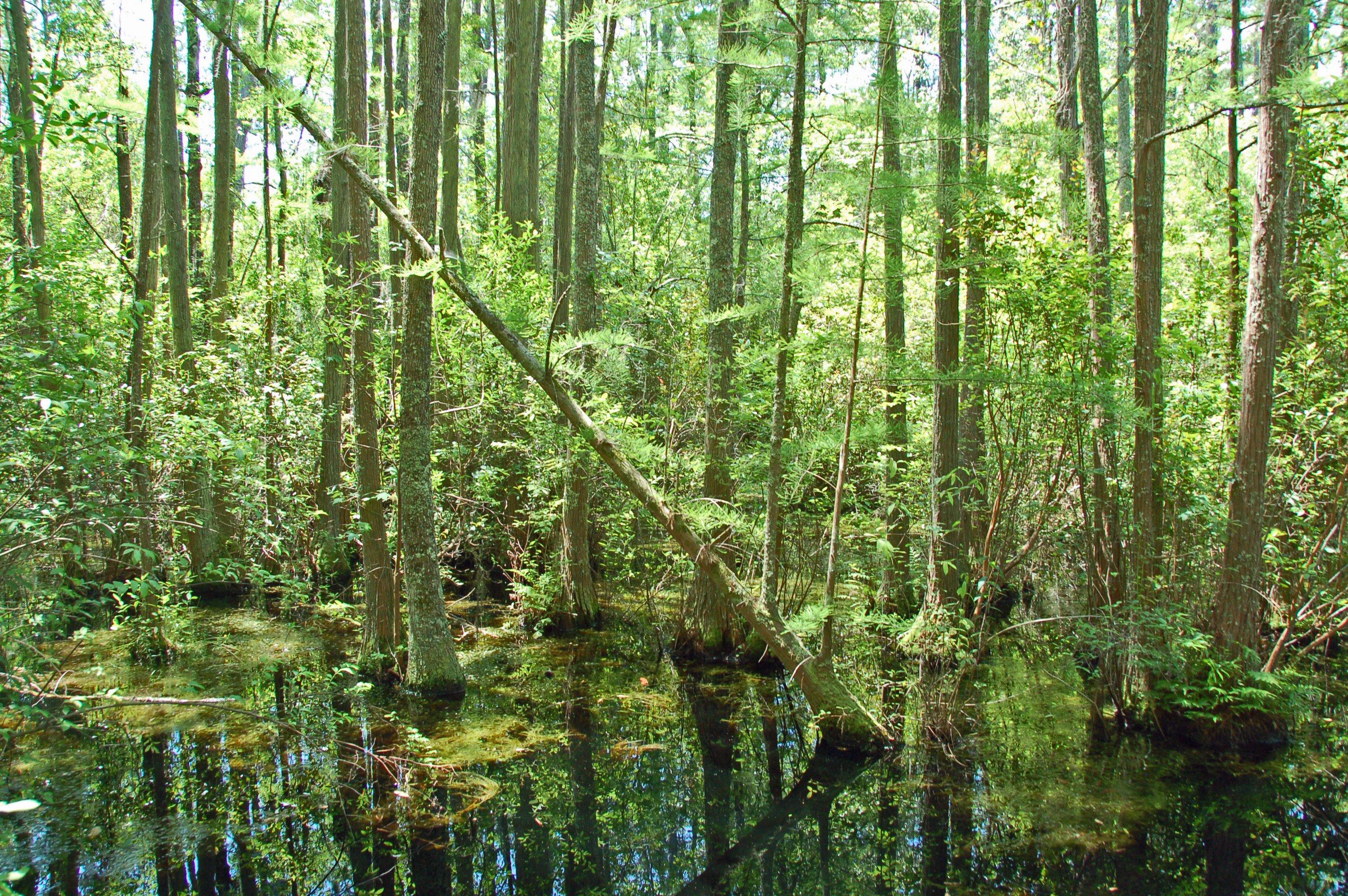 Woods Bay State Park