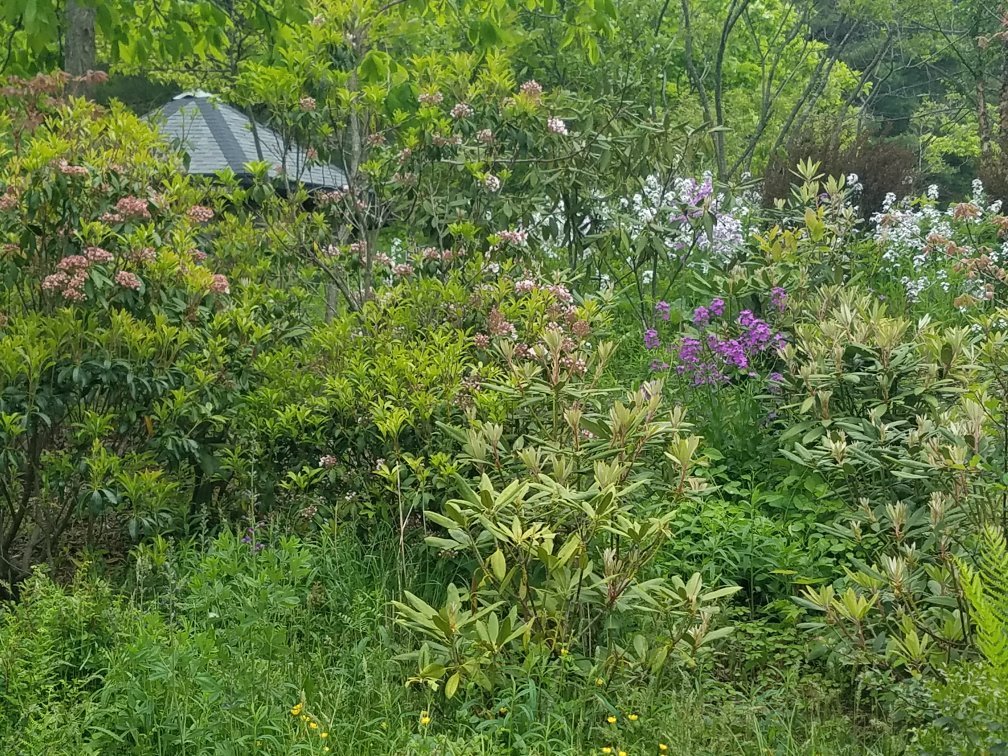 Daniel Boone Native Gardens