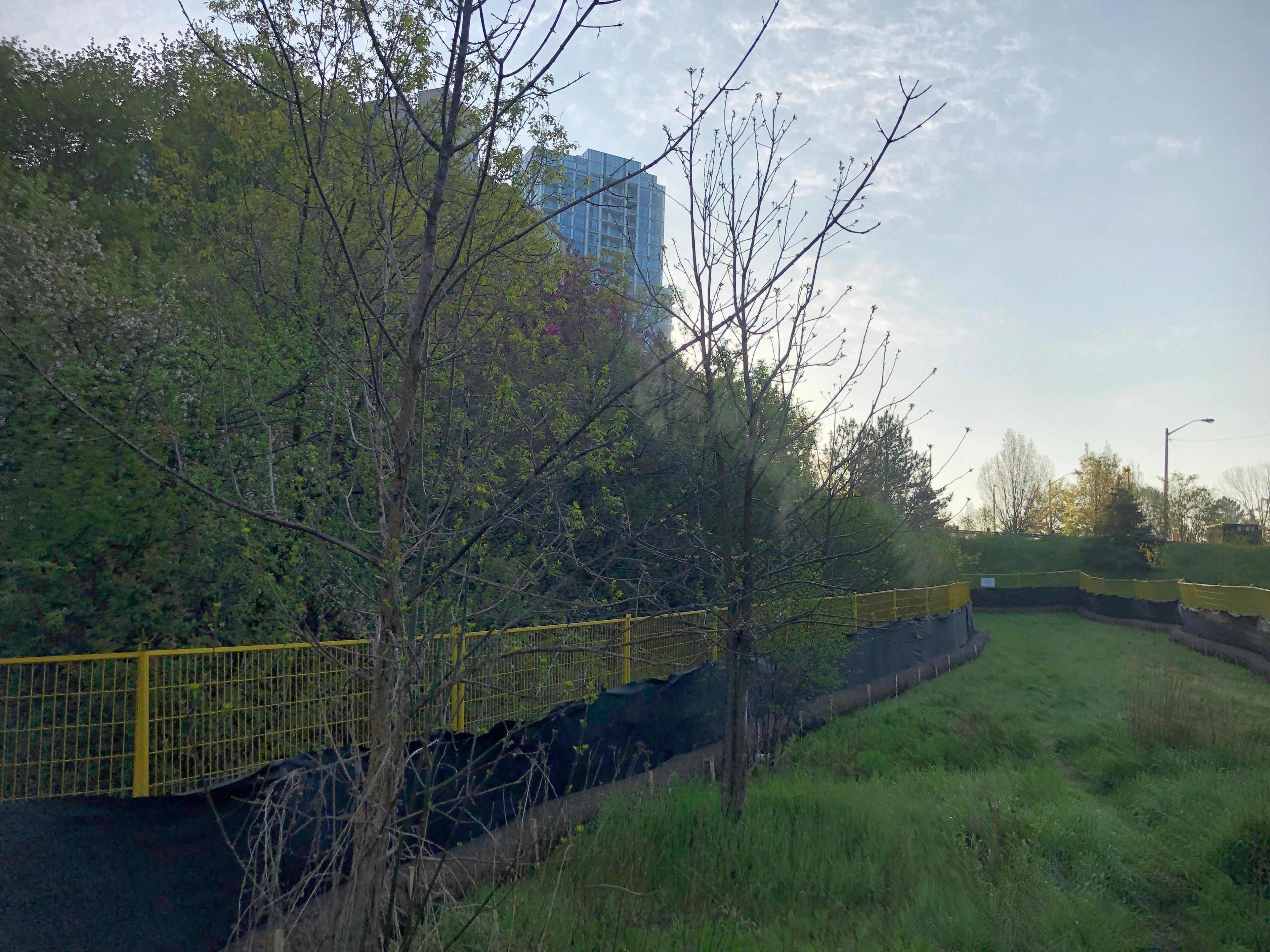 Betty Sutherland Trail Park