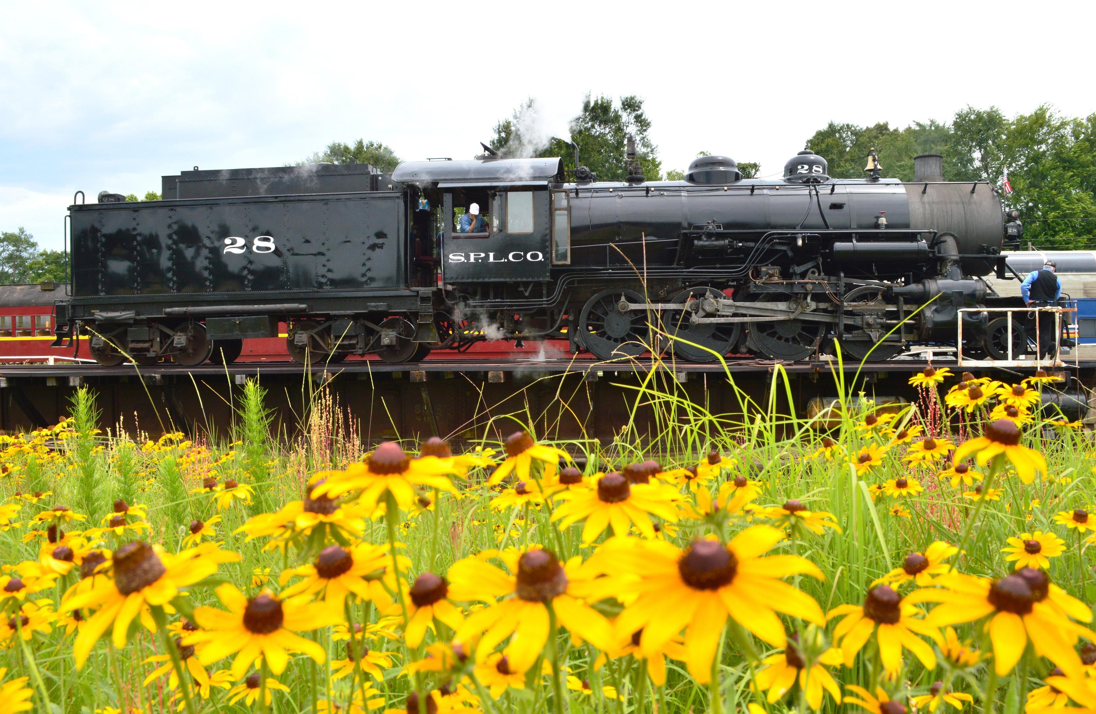 Texas State Railroad