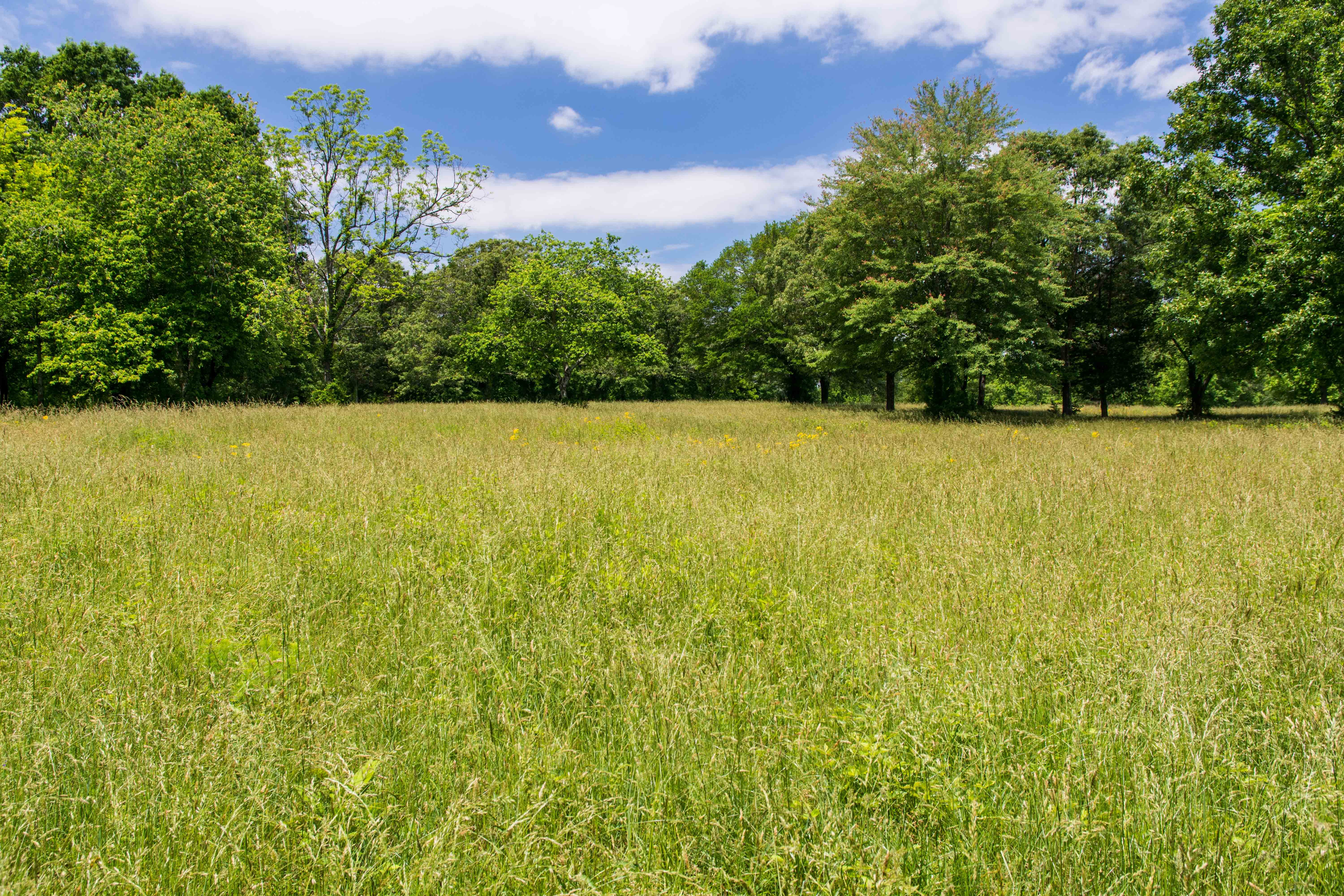 Cowpens National Battlefield