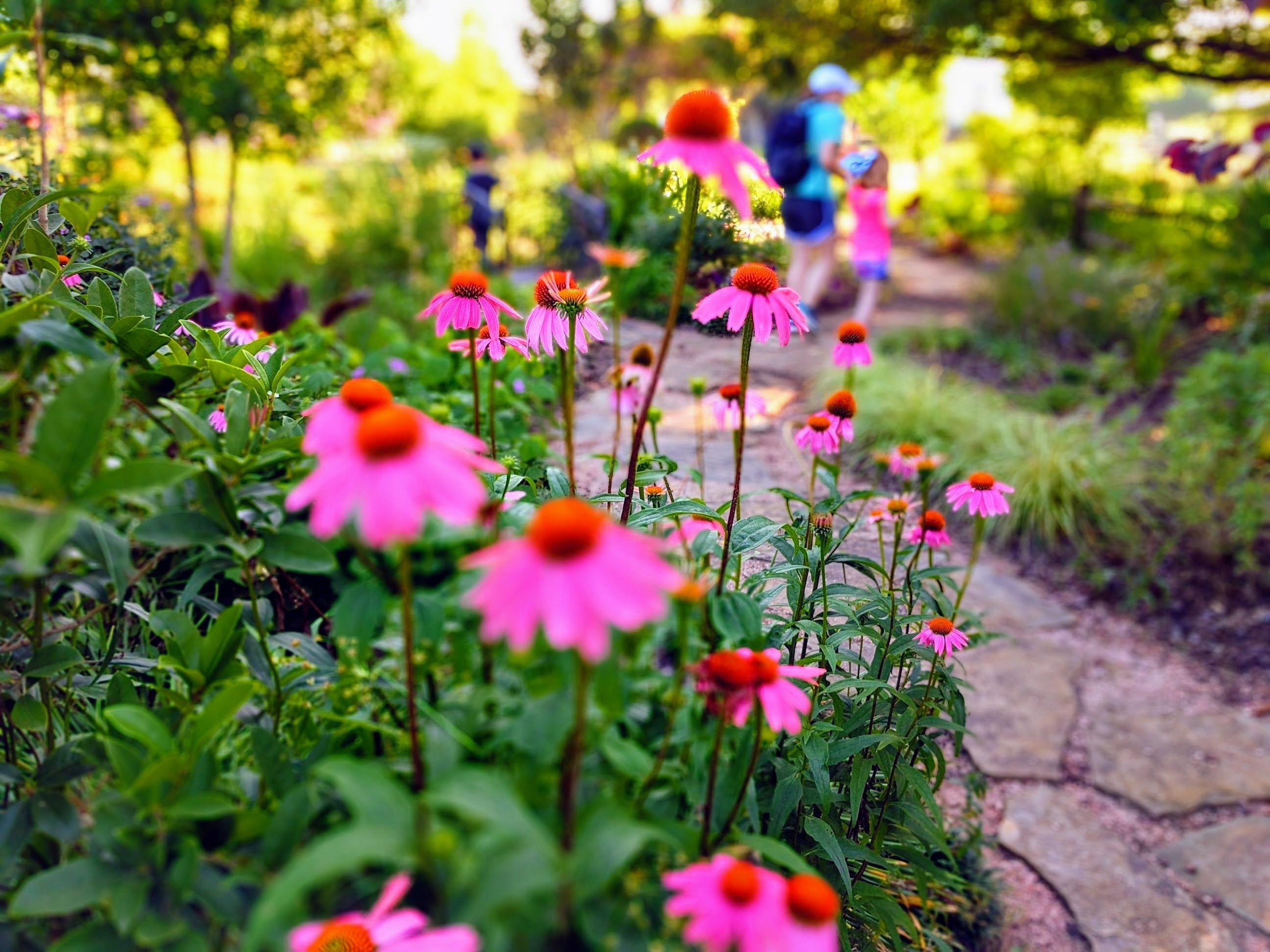 East Texas Arboretum