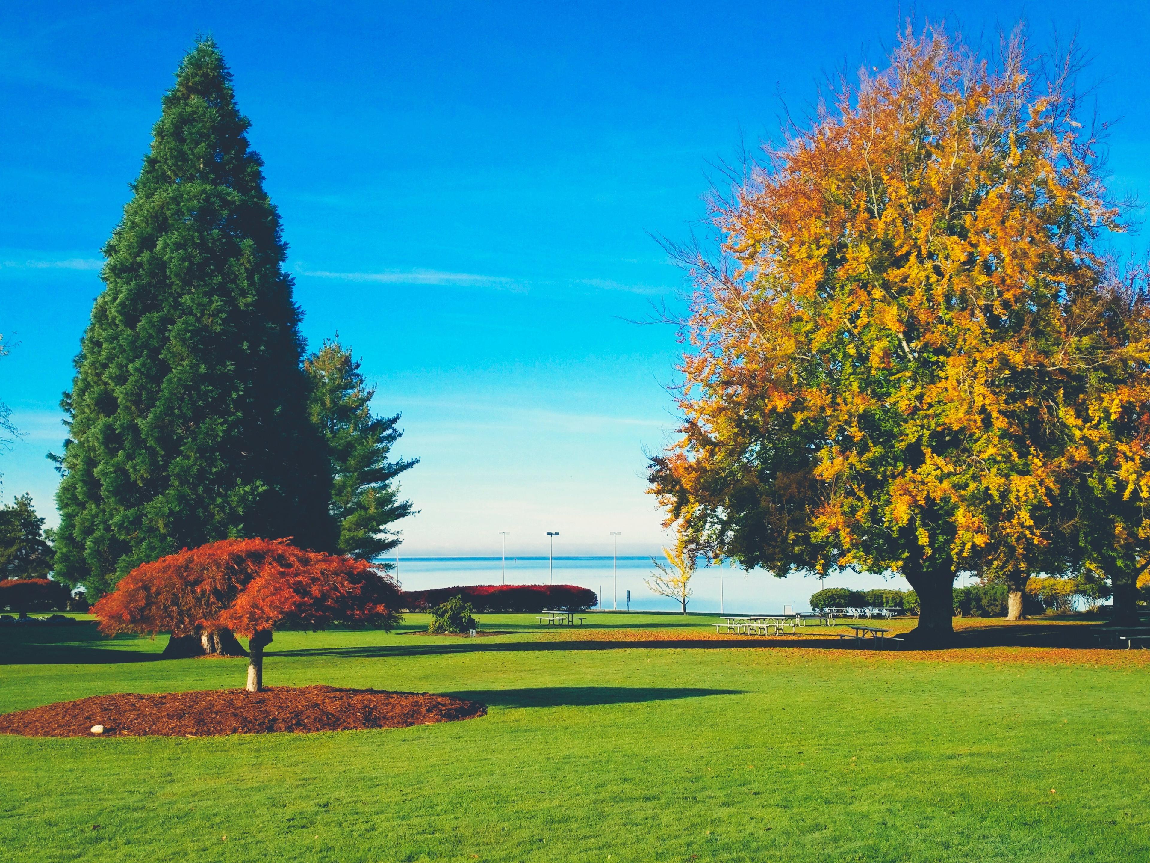 Peace Arch Provincial Park