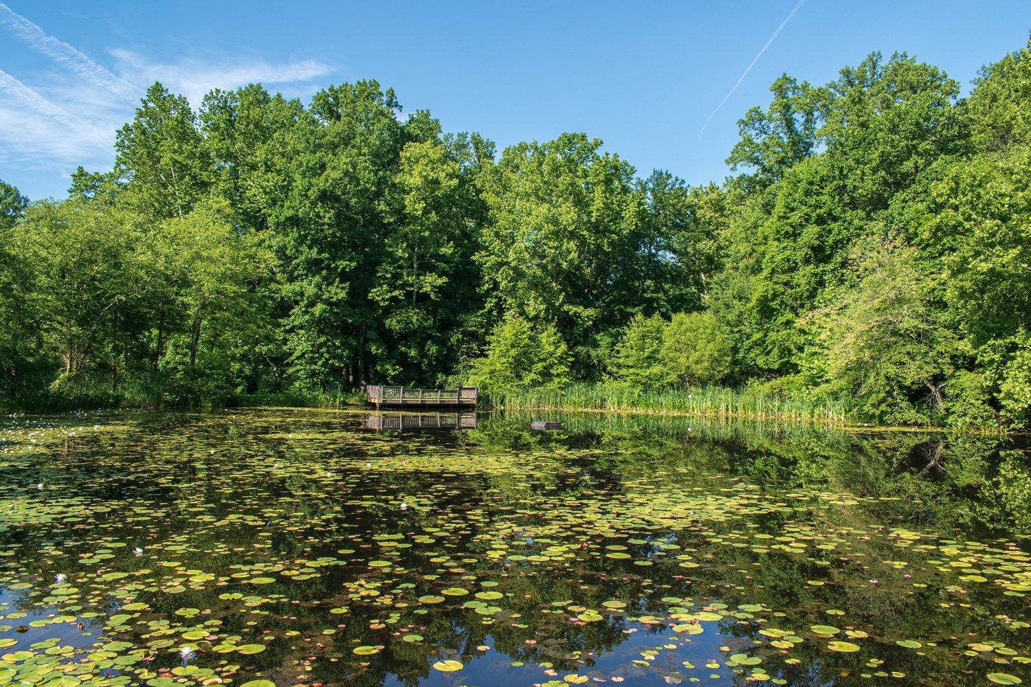 Ellanor C. Lawrence Park