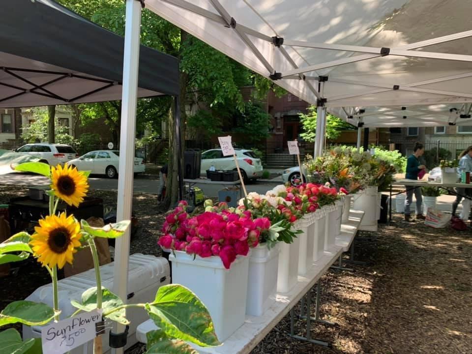 Logan Square Farmers Market