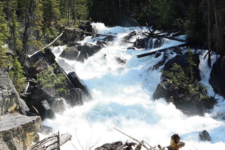 Kicking Horse River