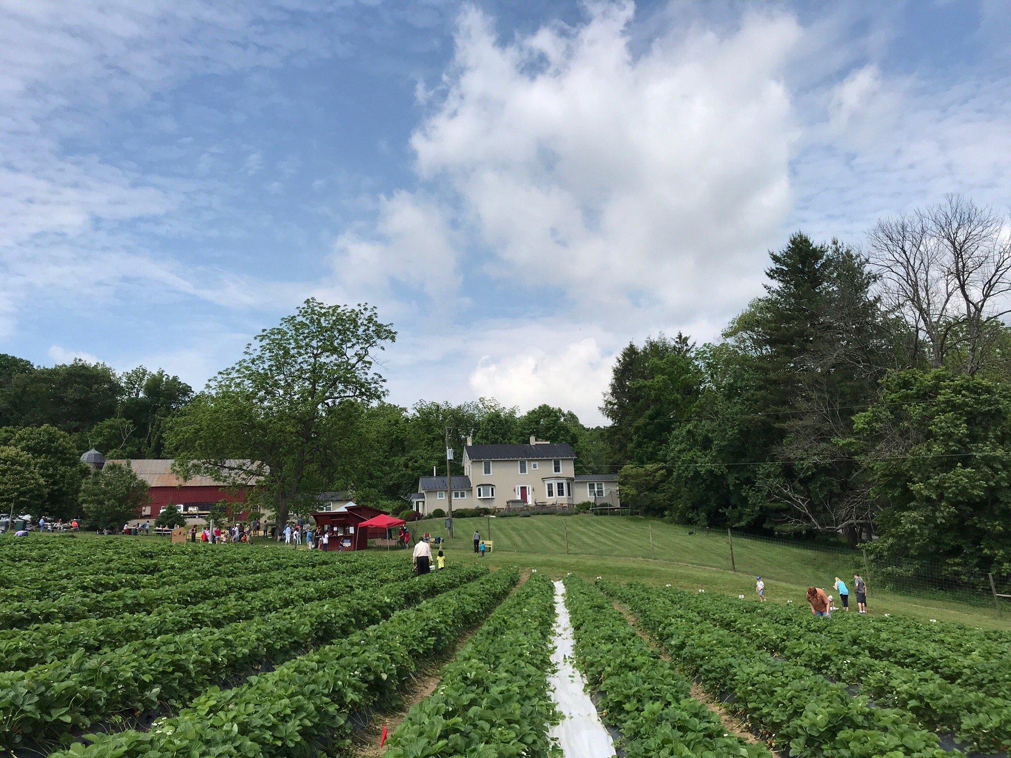 Wegmeyer Farms