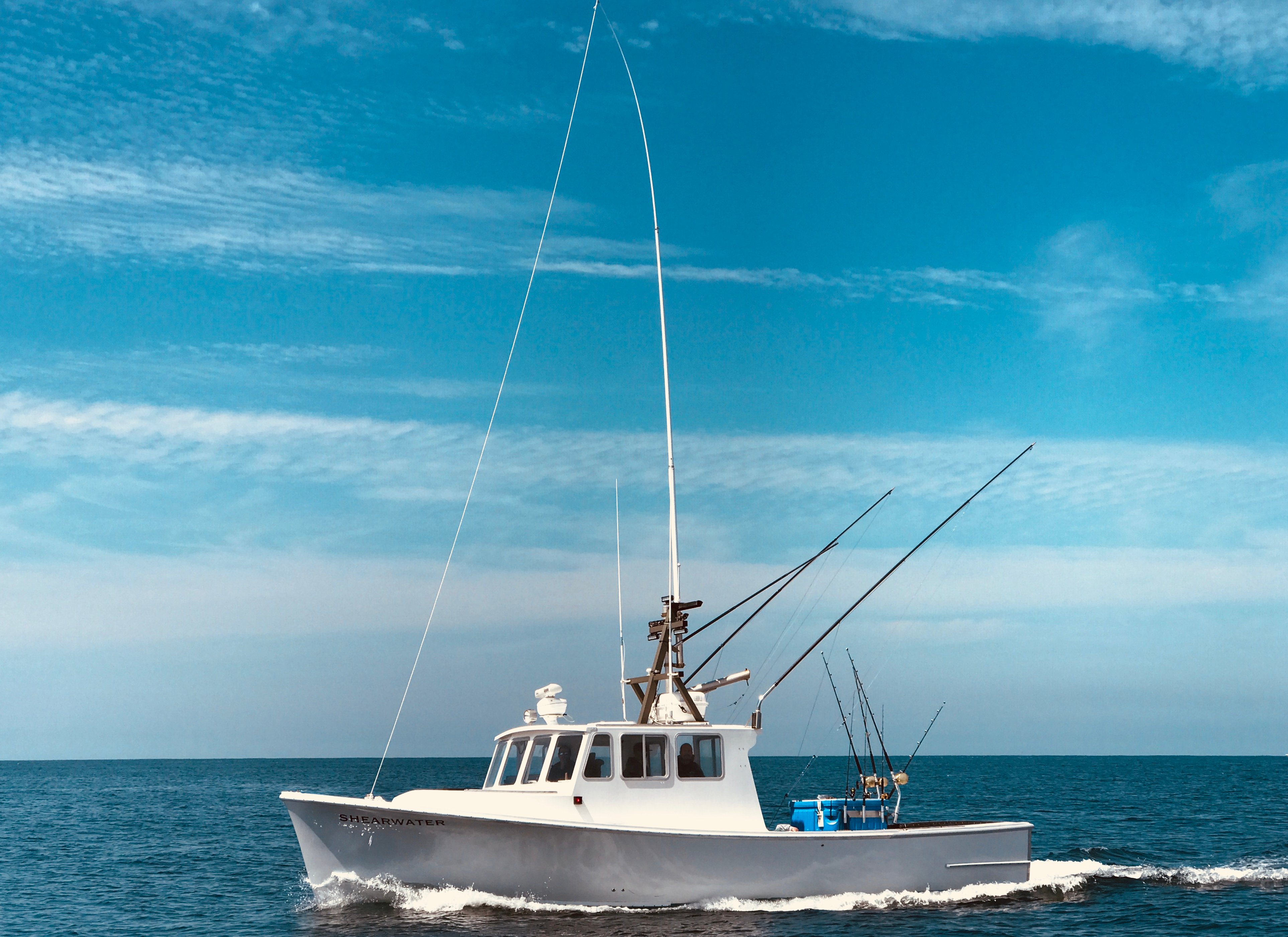 Fish Chatham Charters