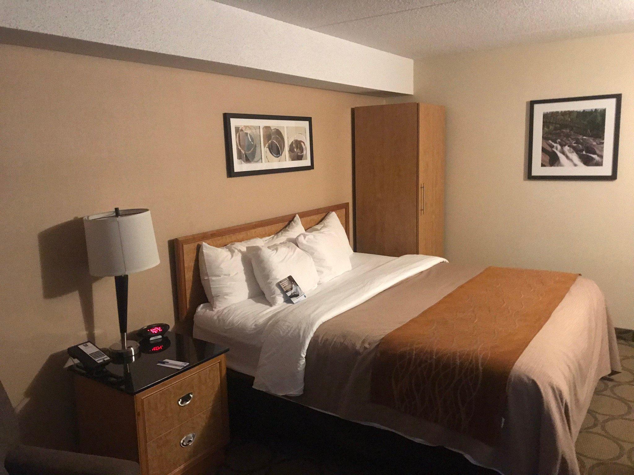 Comfort Inn East