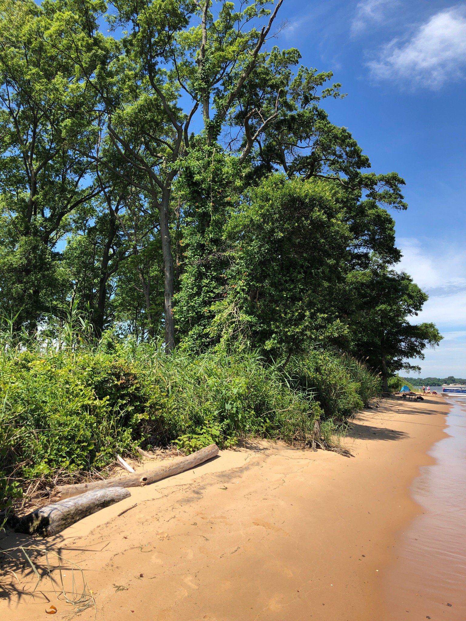 Hart-Miller Island State Park