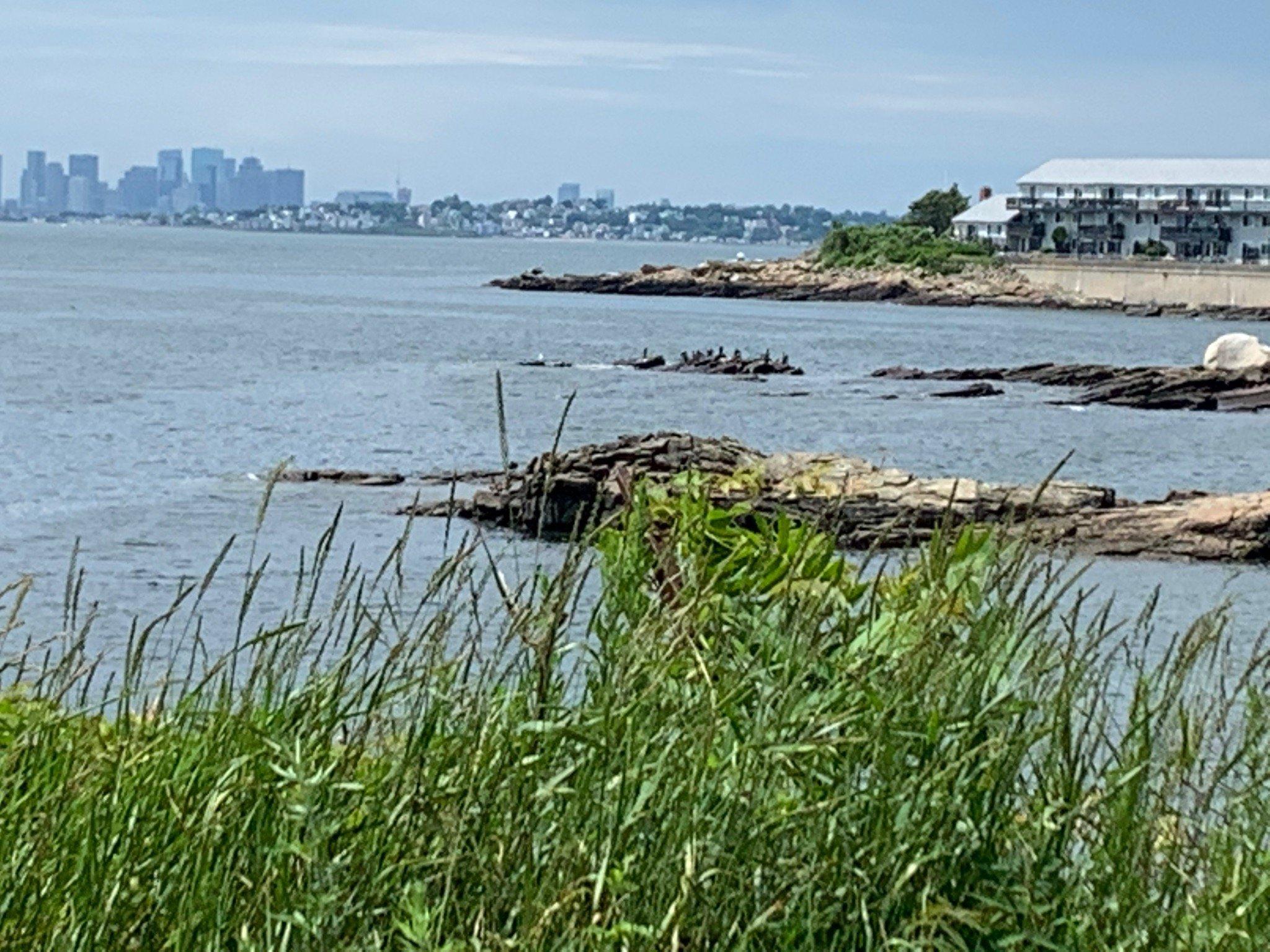 Nahant Beach