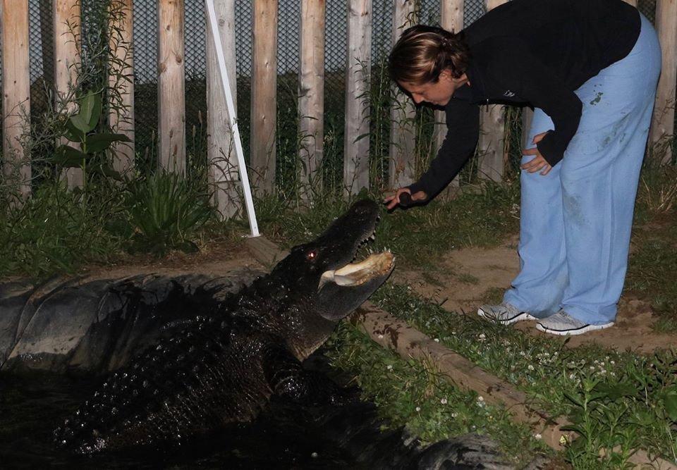 Critchlow Alligator Sanctuary