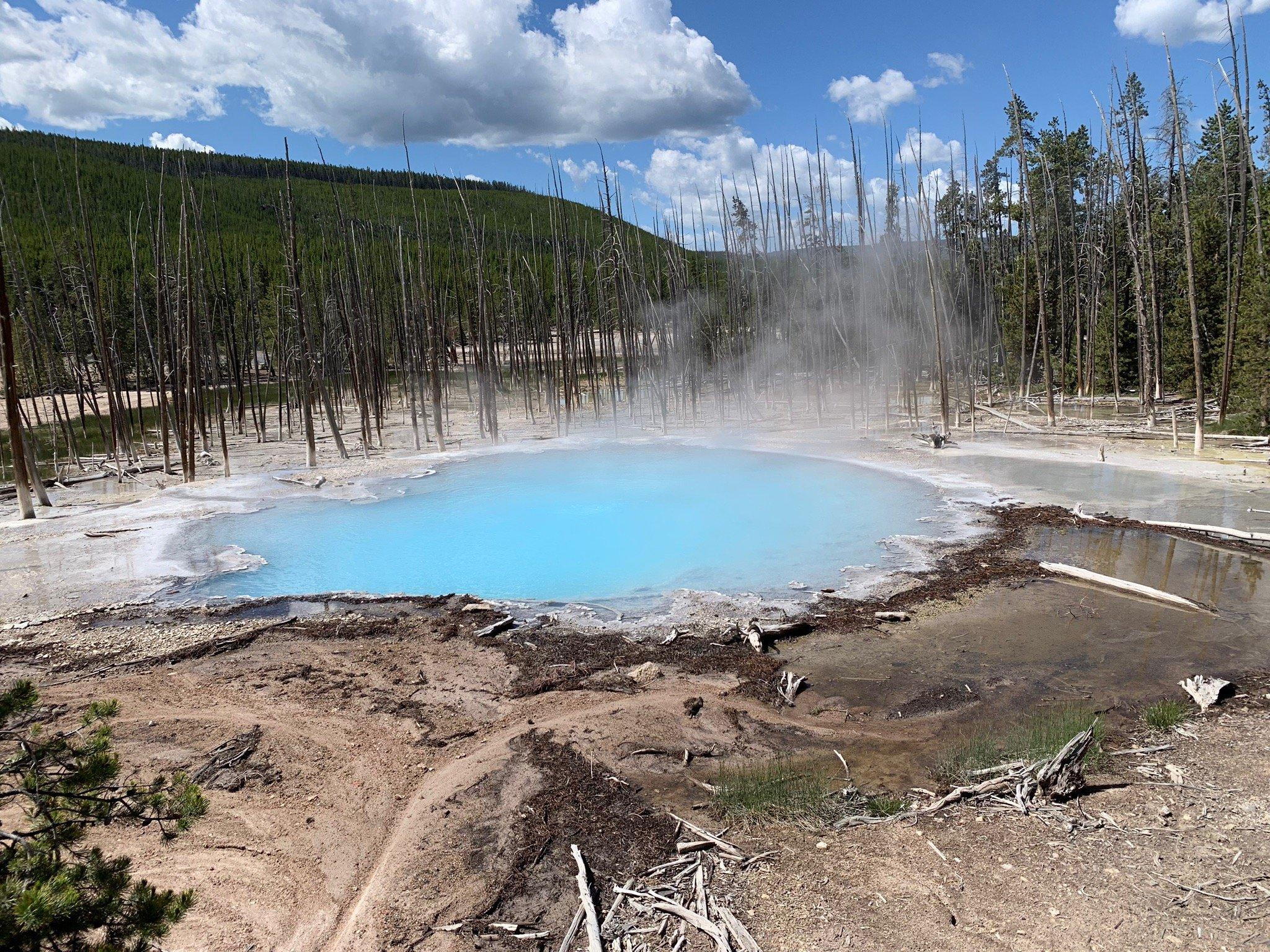 Norris Geyser Basin