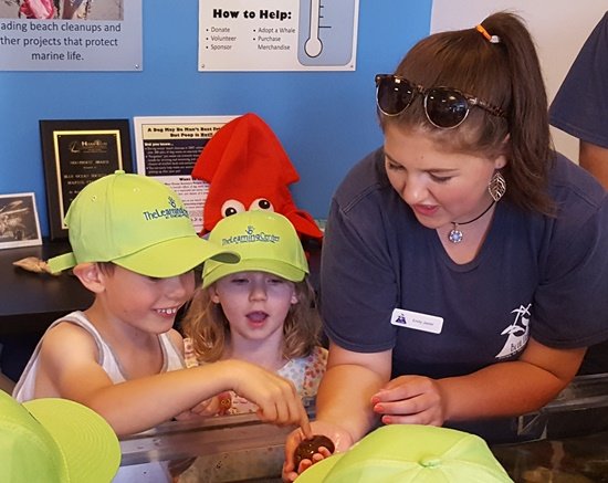 Blue Ocean Discovery Center